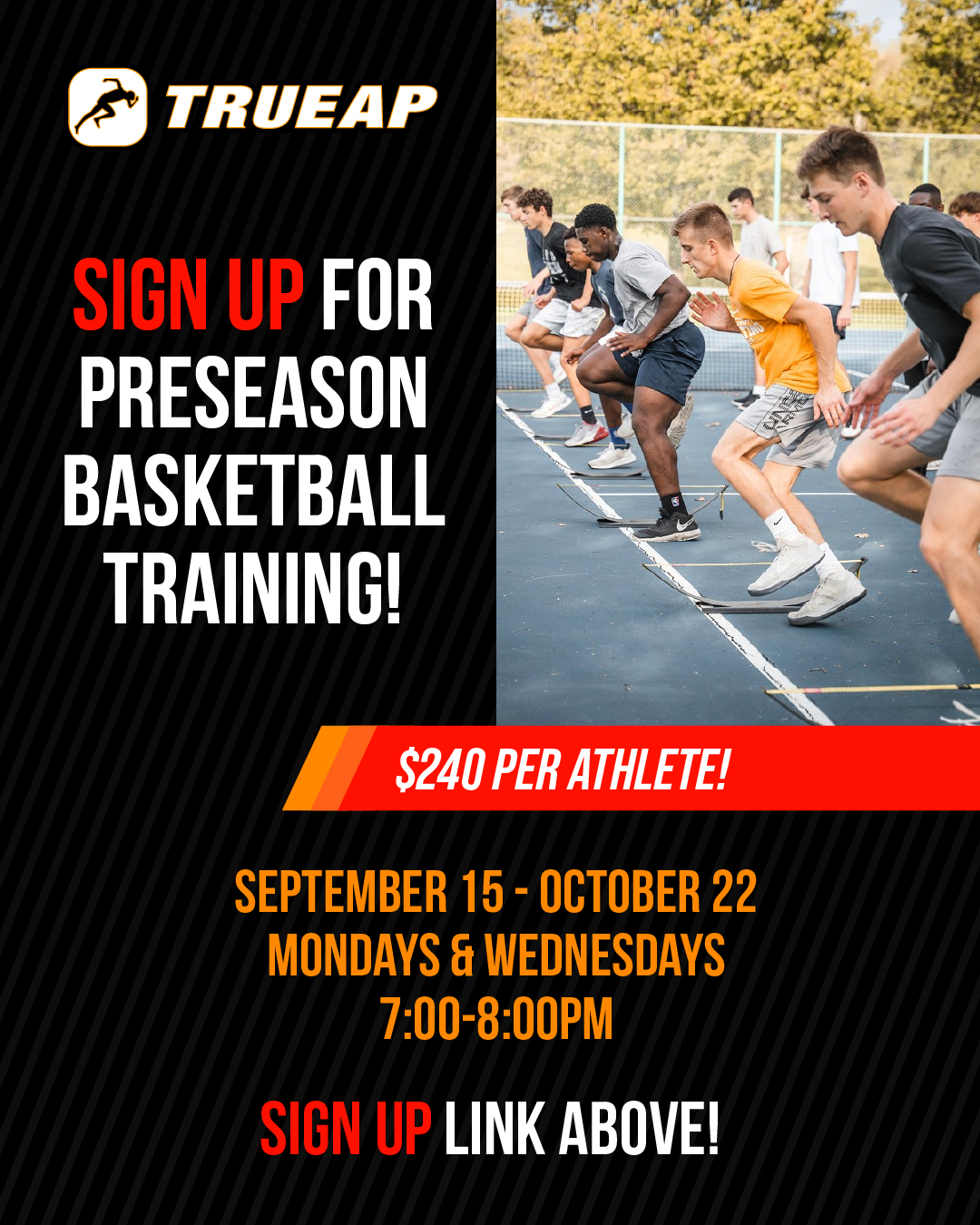 The 6-week basketball training... - True Athlete Performance | Facebook