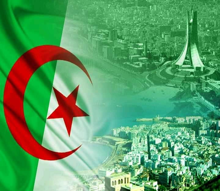 عالم الجزائر | Facebook