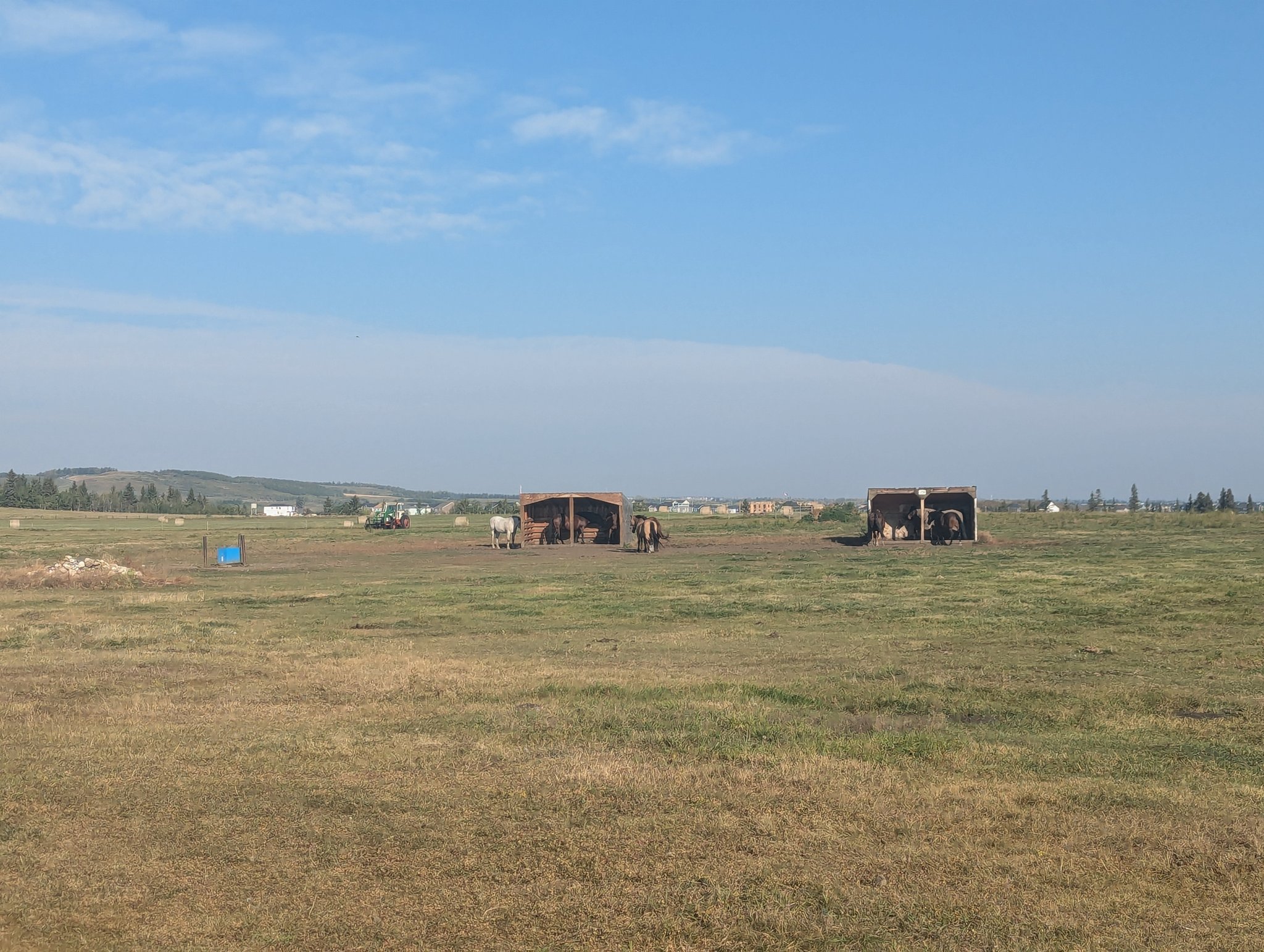 PD Ranch Horse Boarding | Foothills AB
