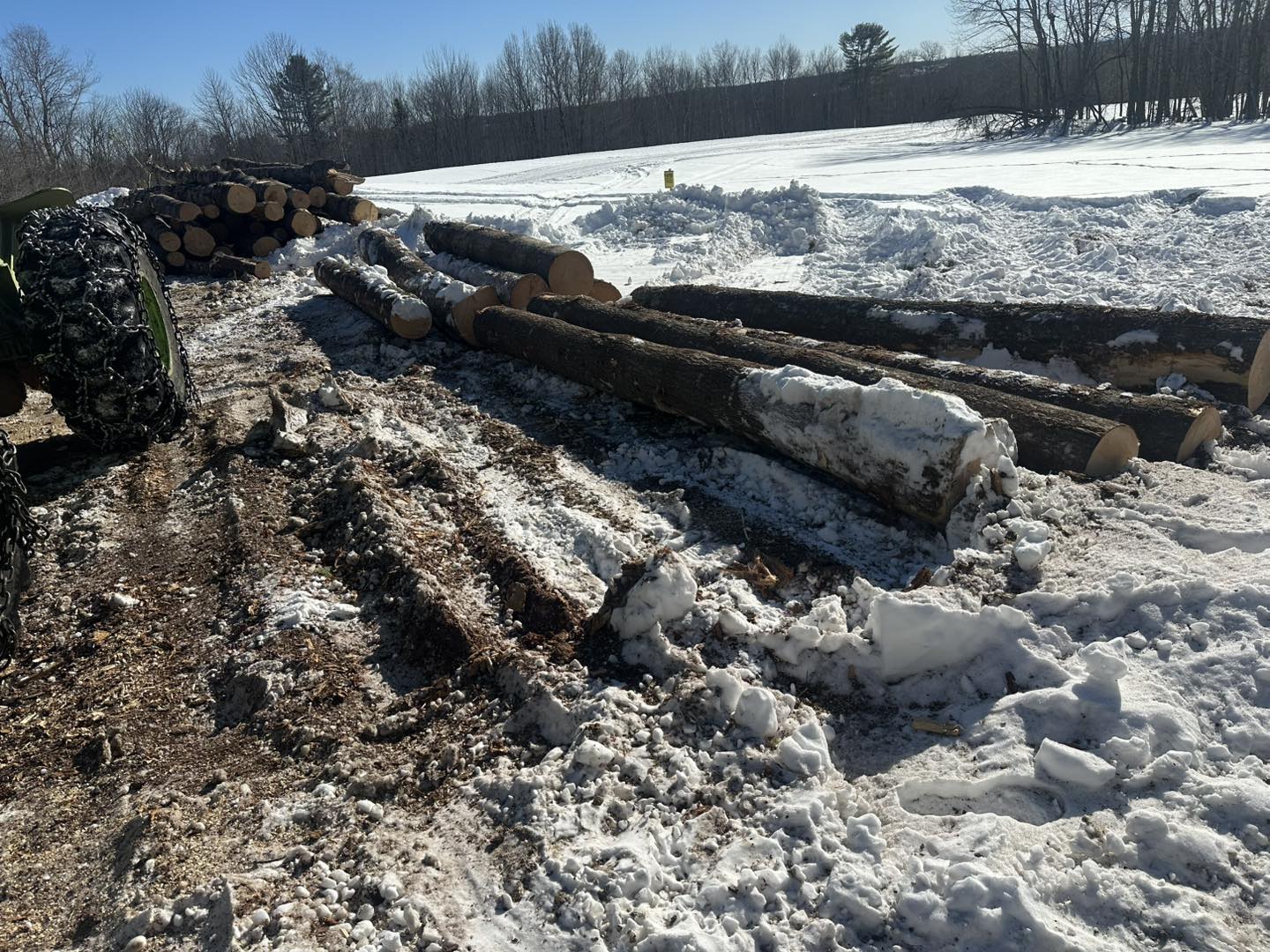 Rice Logging - Rice Logging added a new photo — at St Albans.
