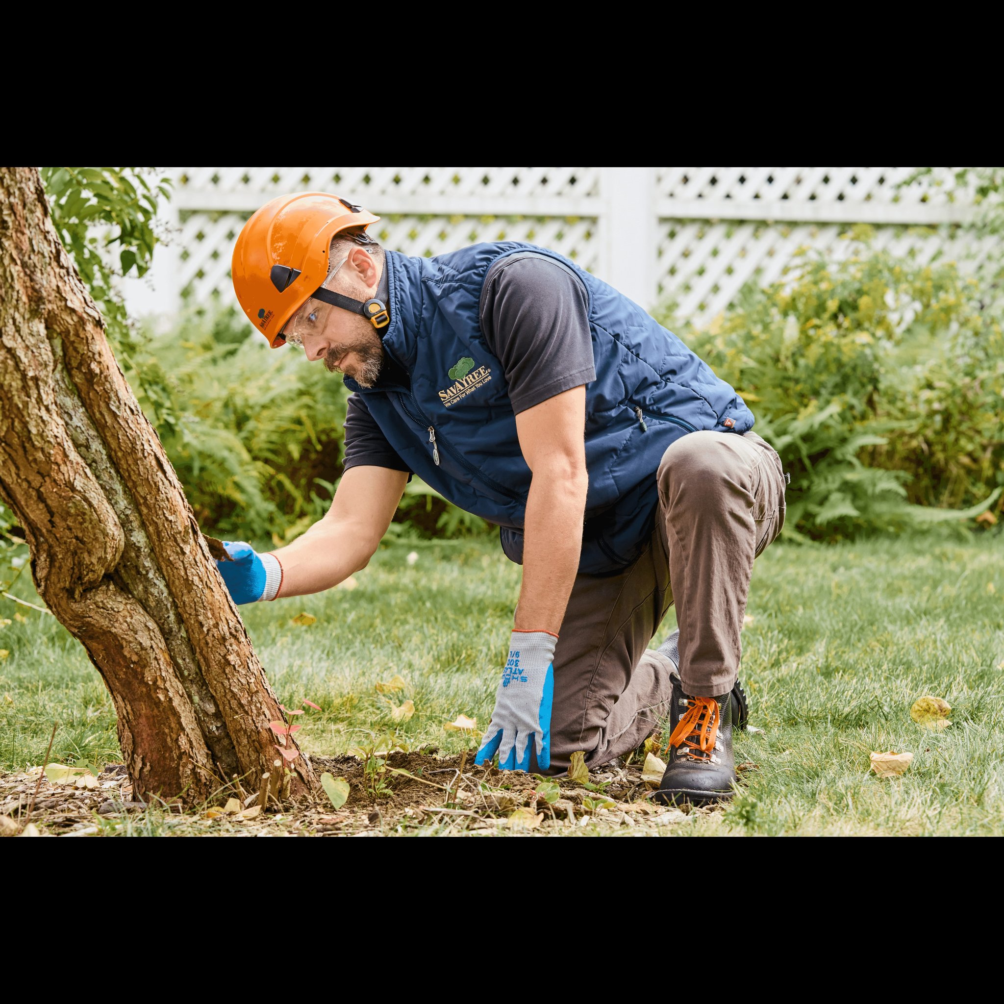 Savatree - “What is an ISA Certified Arborist and why does it matter ...