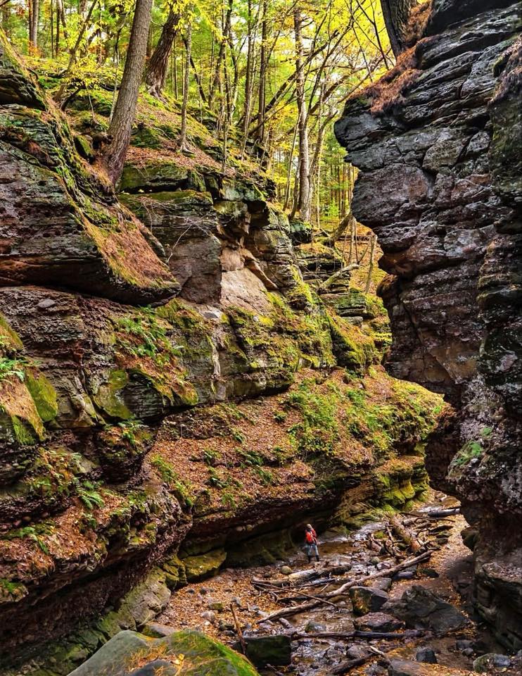 Driftless - We are extremely excited and honored to be mentioned in the ...