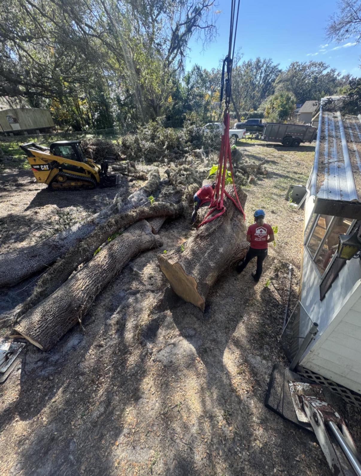 ASAP Crane & Tree Service