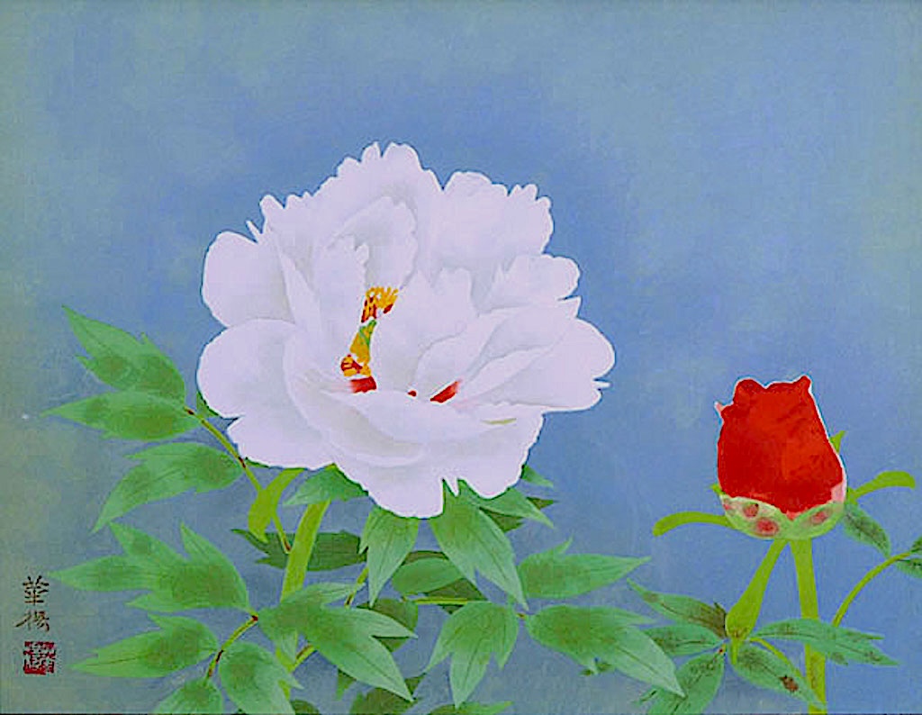【牡丹とpeony】昭和日和その弐 Red and White Peonies