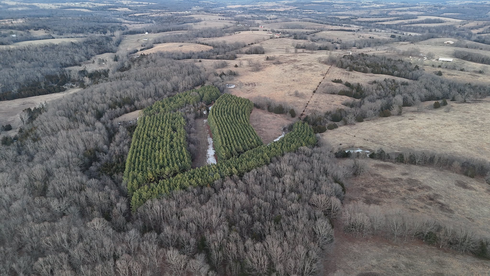 Clear Spring Ranch, Inc. | Mountain Grove MO