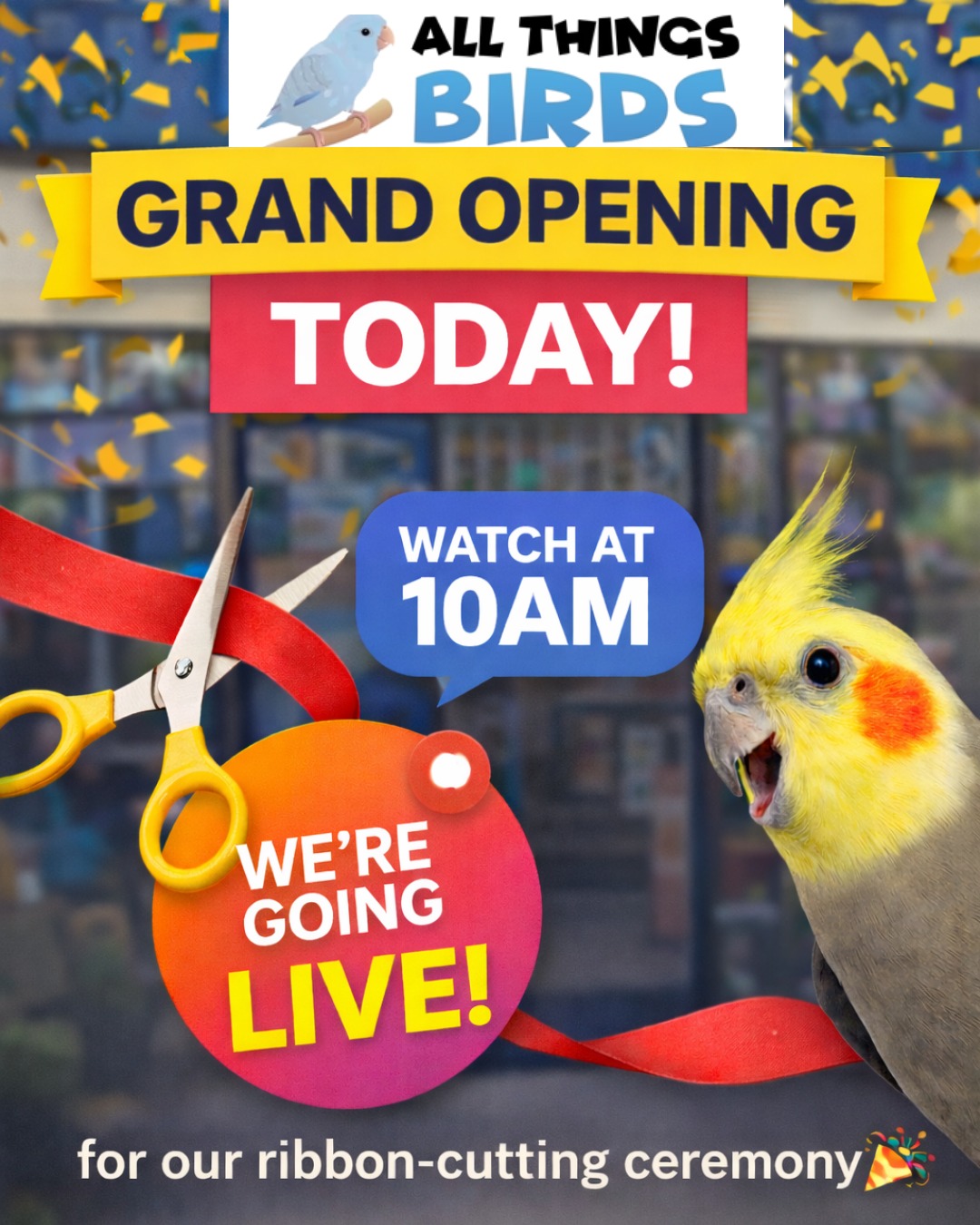 🎉 WE’RE GOING LIVE! 🎉 Join us TODAY at... - All Things Birds | Facebook