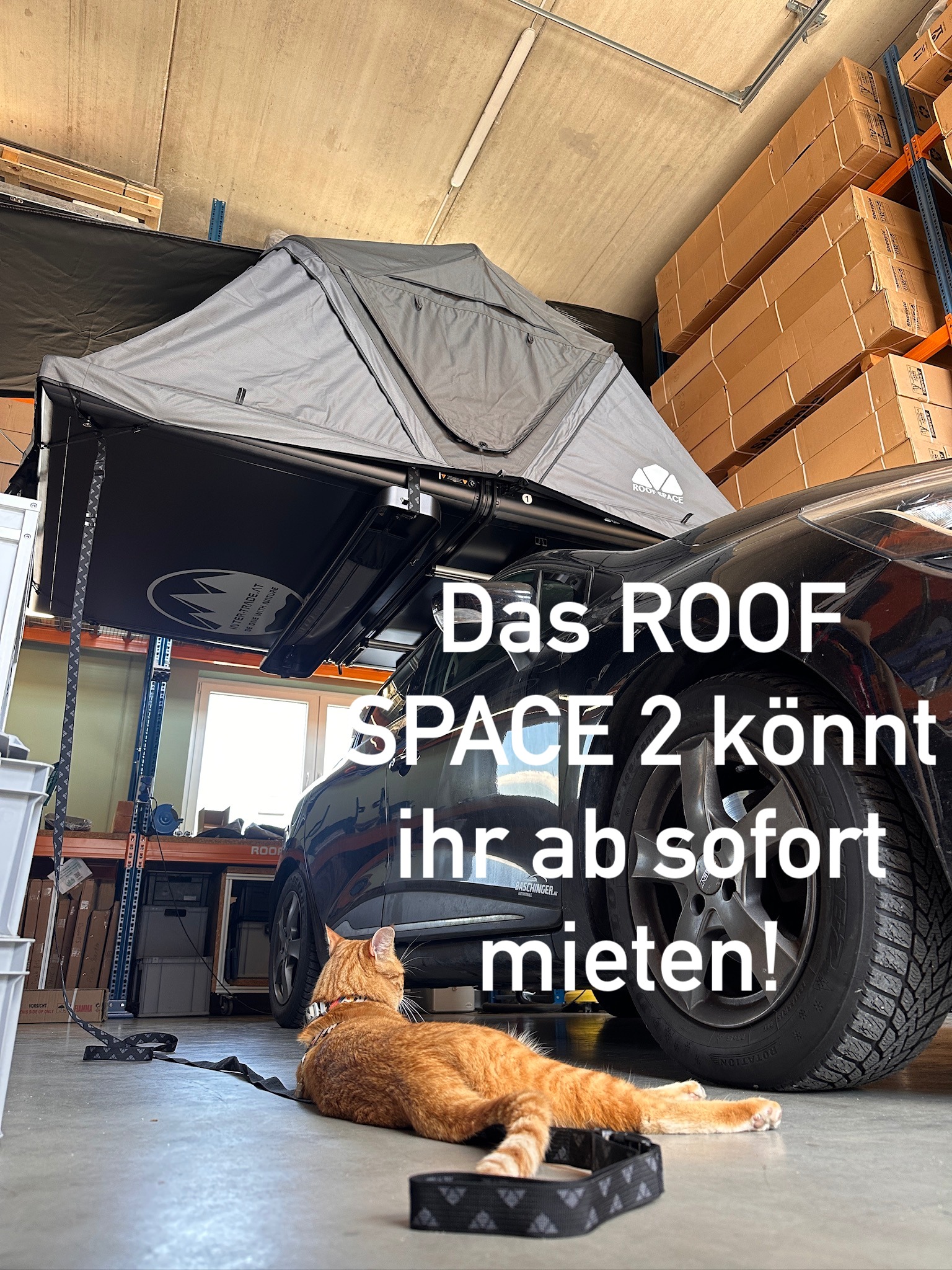 sale pop up tent VEVOR 10x10 ft Canopy with Removable Sidewalls Instant Canopies Portable Gazebo & Wheeled Bag UV Resistant Waterproof Enclosed Canopy non-dash-m Buy one and start Farbe:Hell Elfenbein What Is The Difference