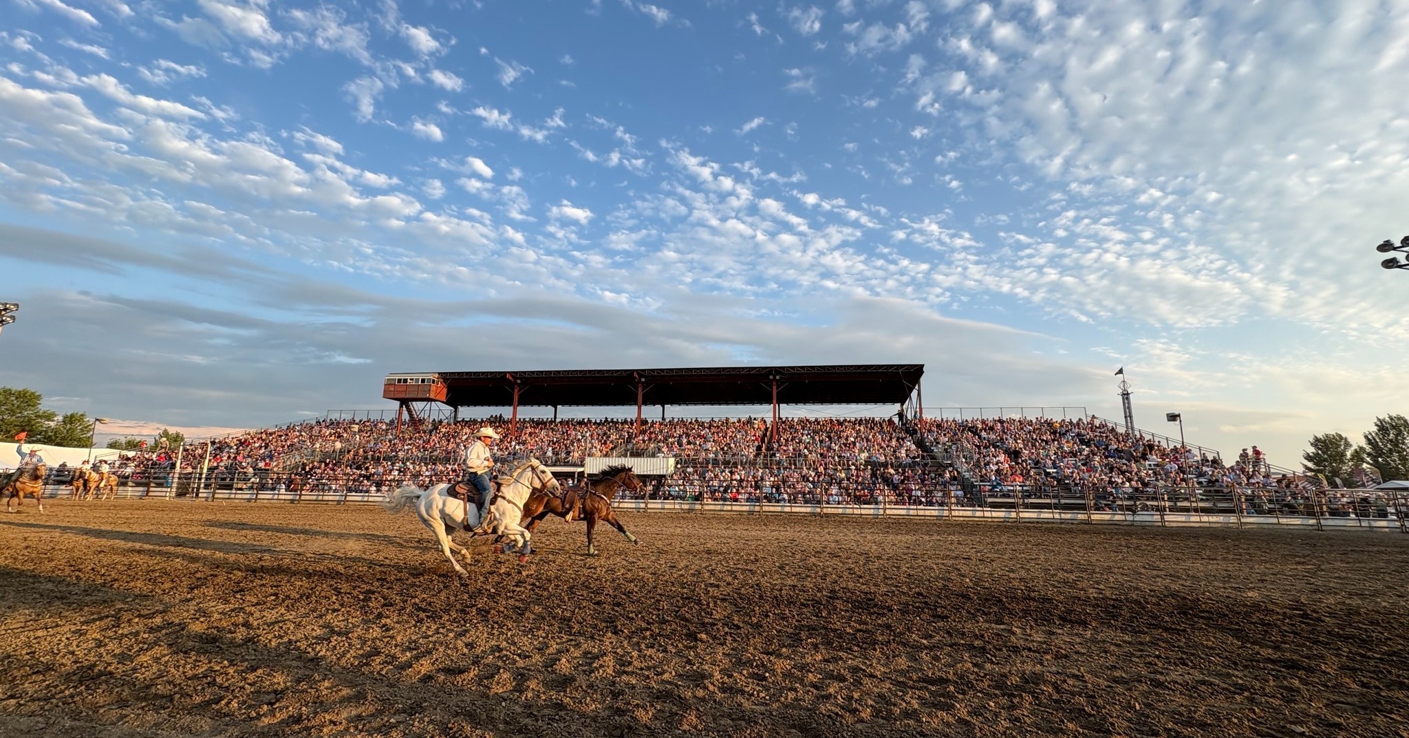 Bailey Pro Rodeo