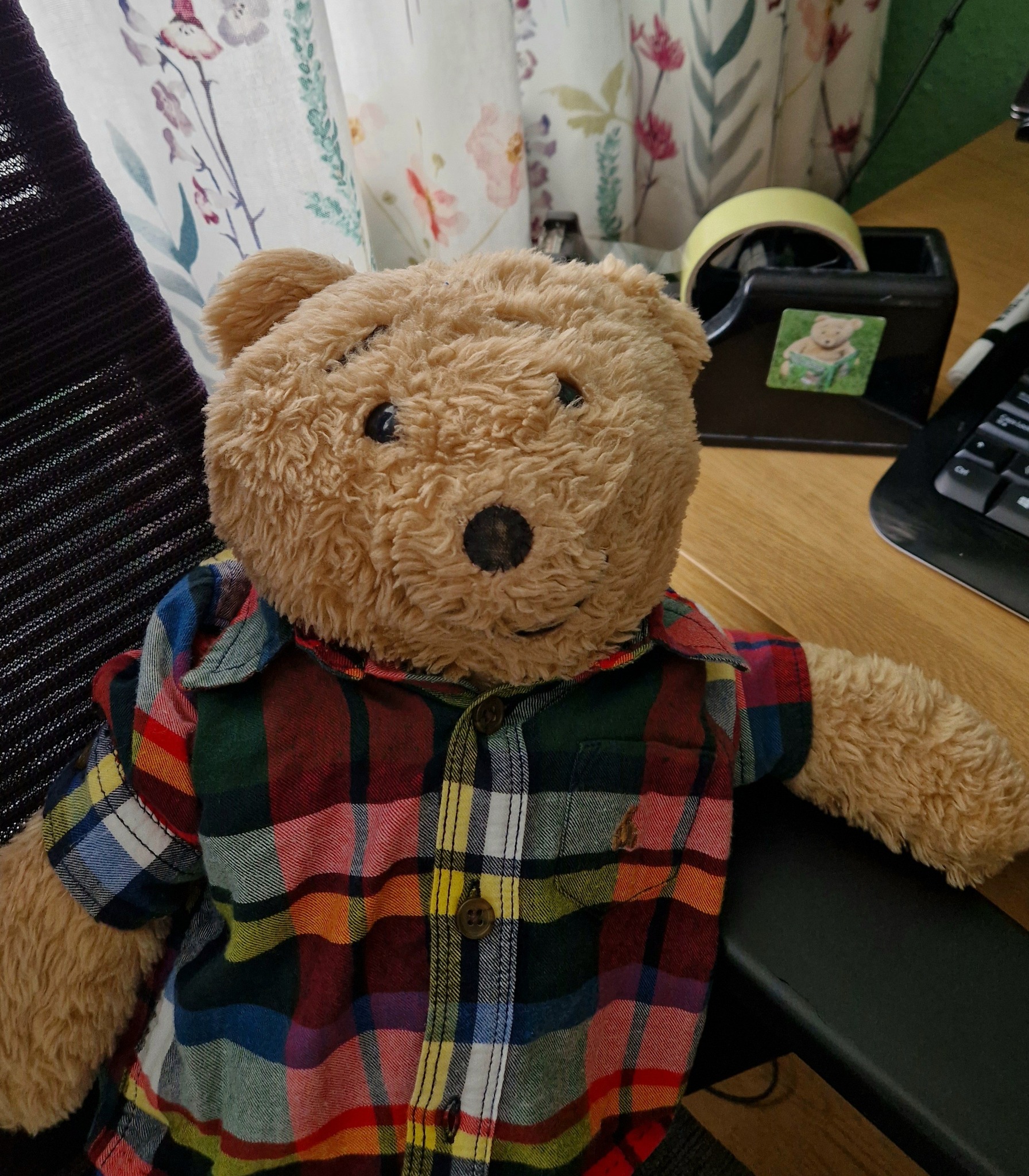 Horace - Gosh I have been going round in circles! About 10 years ago my ...