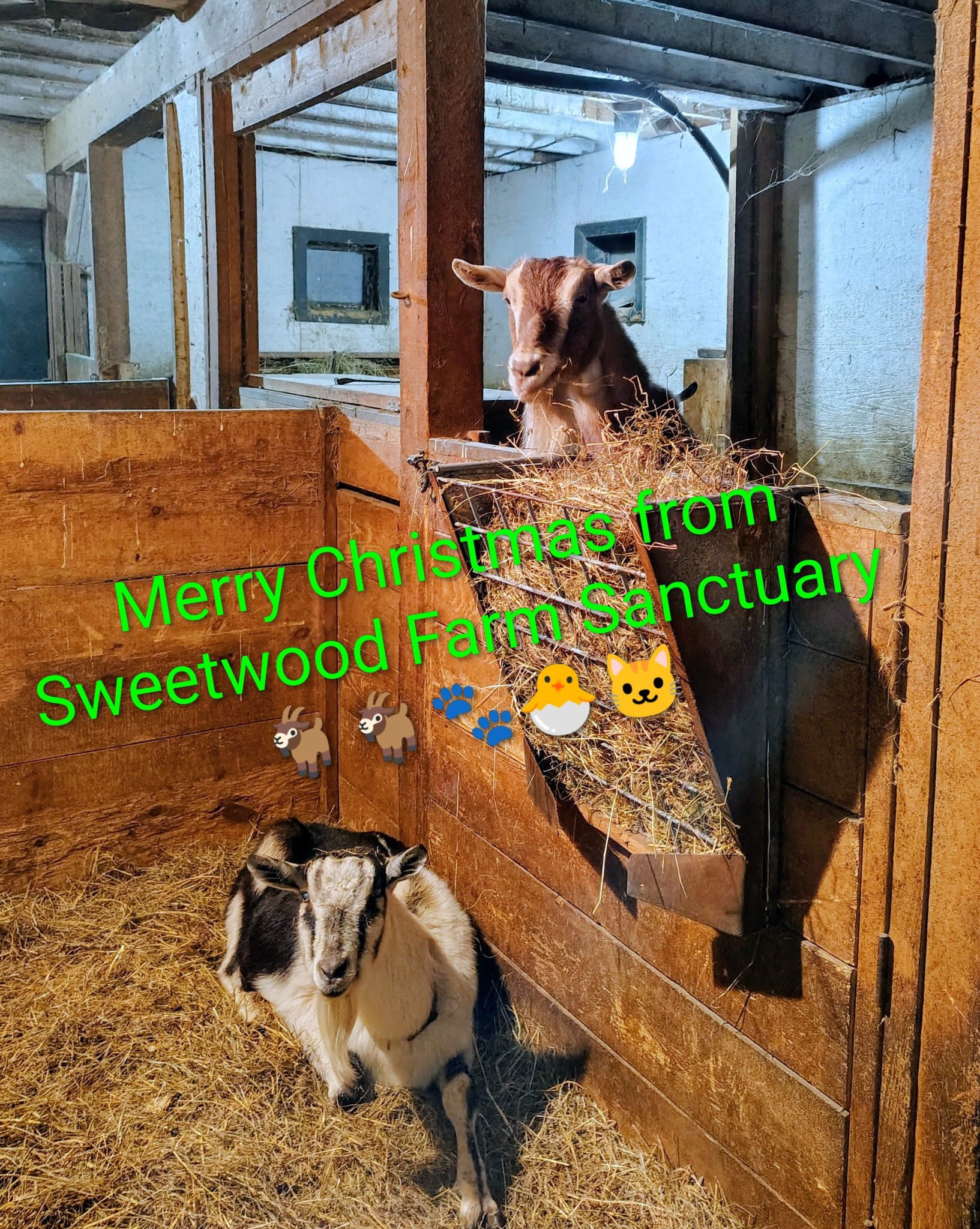 Sweetwood Farm - Sweetwood Farm added a new photo.