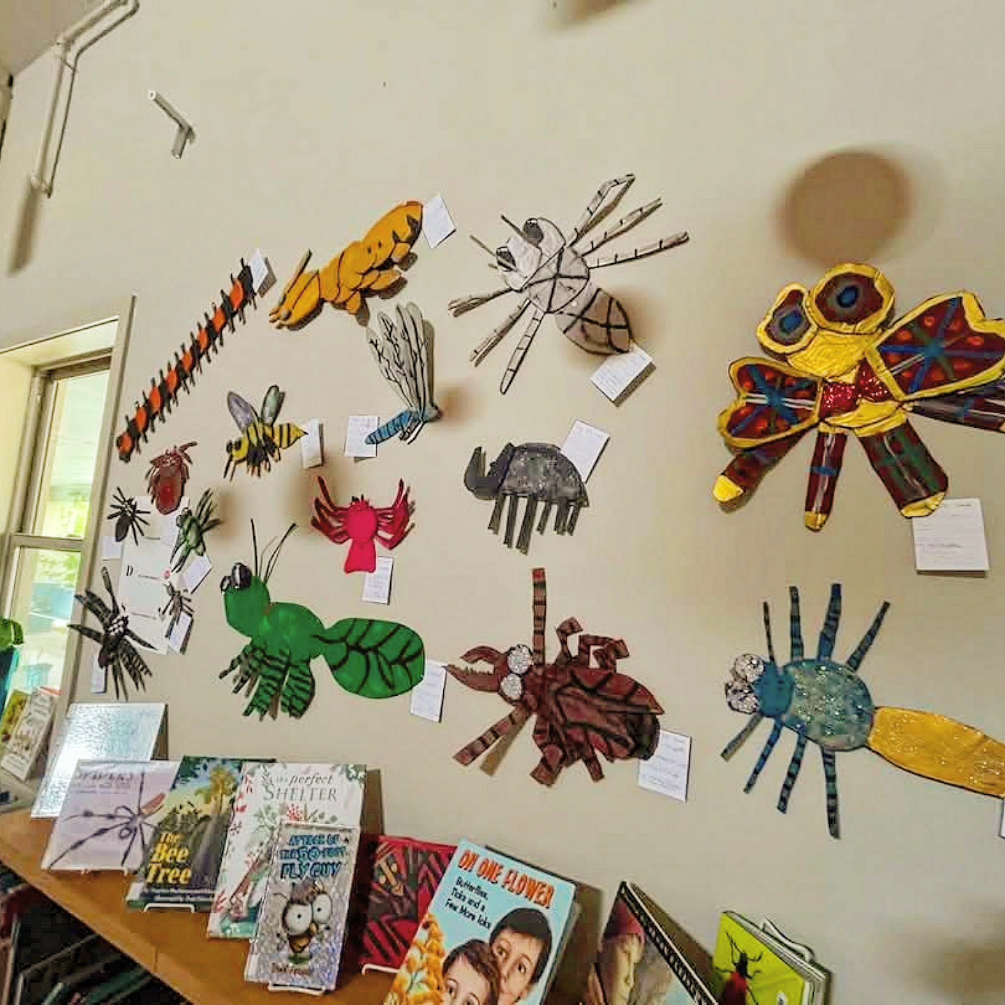 Austin Discovery School | Austin TX