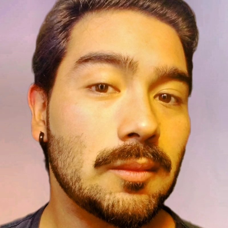 David Rocha