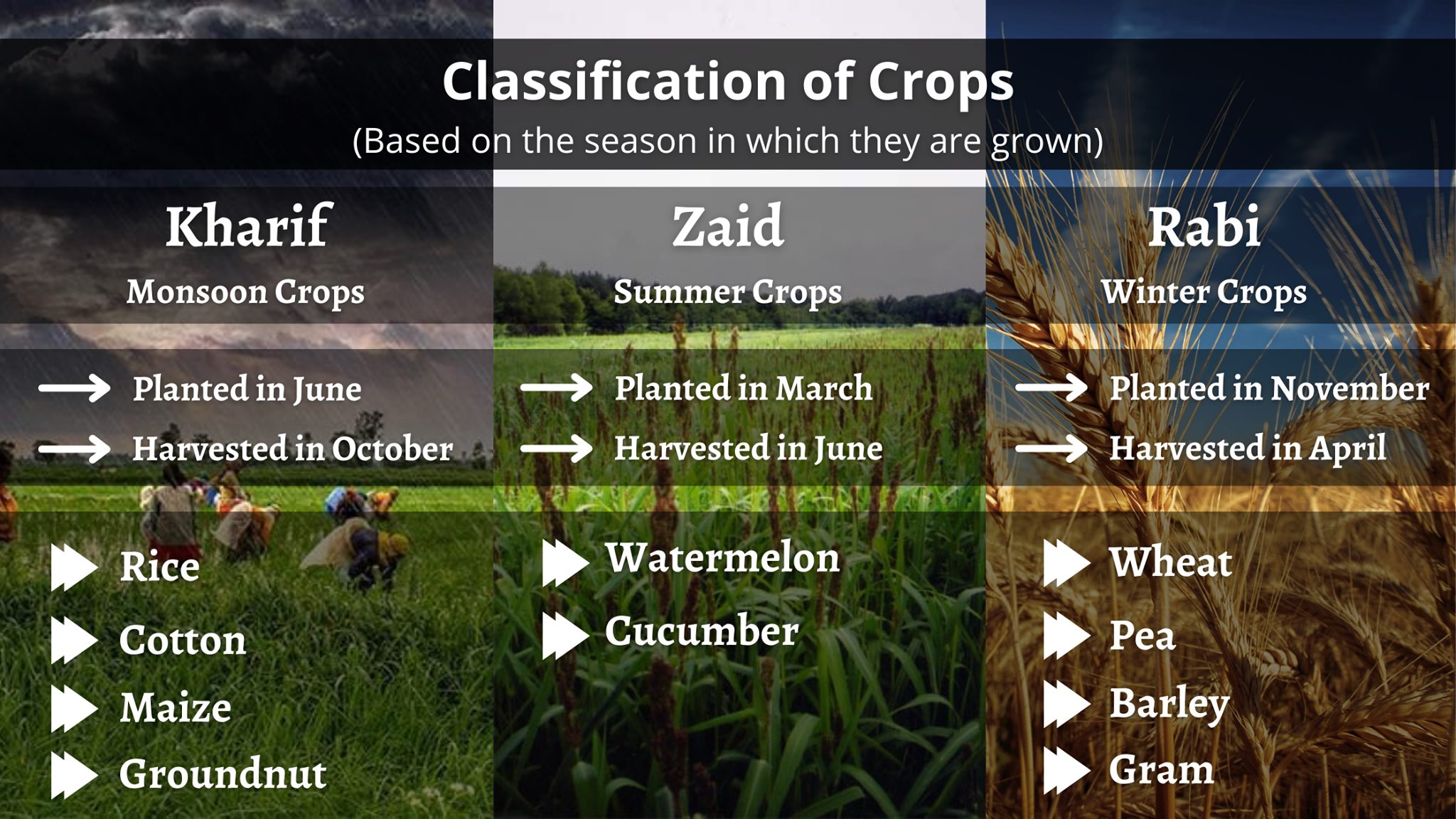 Agrojay Innovations Pvt. Ltd. - https://agrojay.in/blogdetail ...