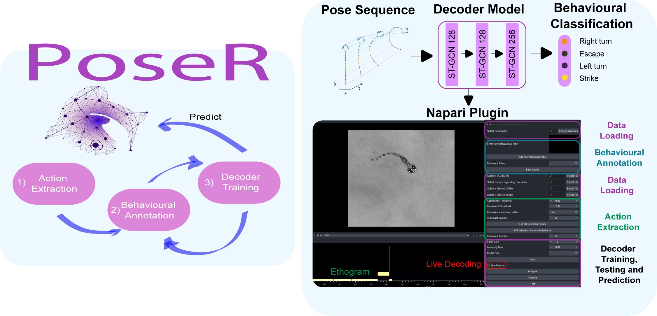 Royal - Meet PoseR: an open-source deep learning toolbox that ...