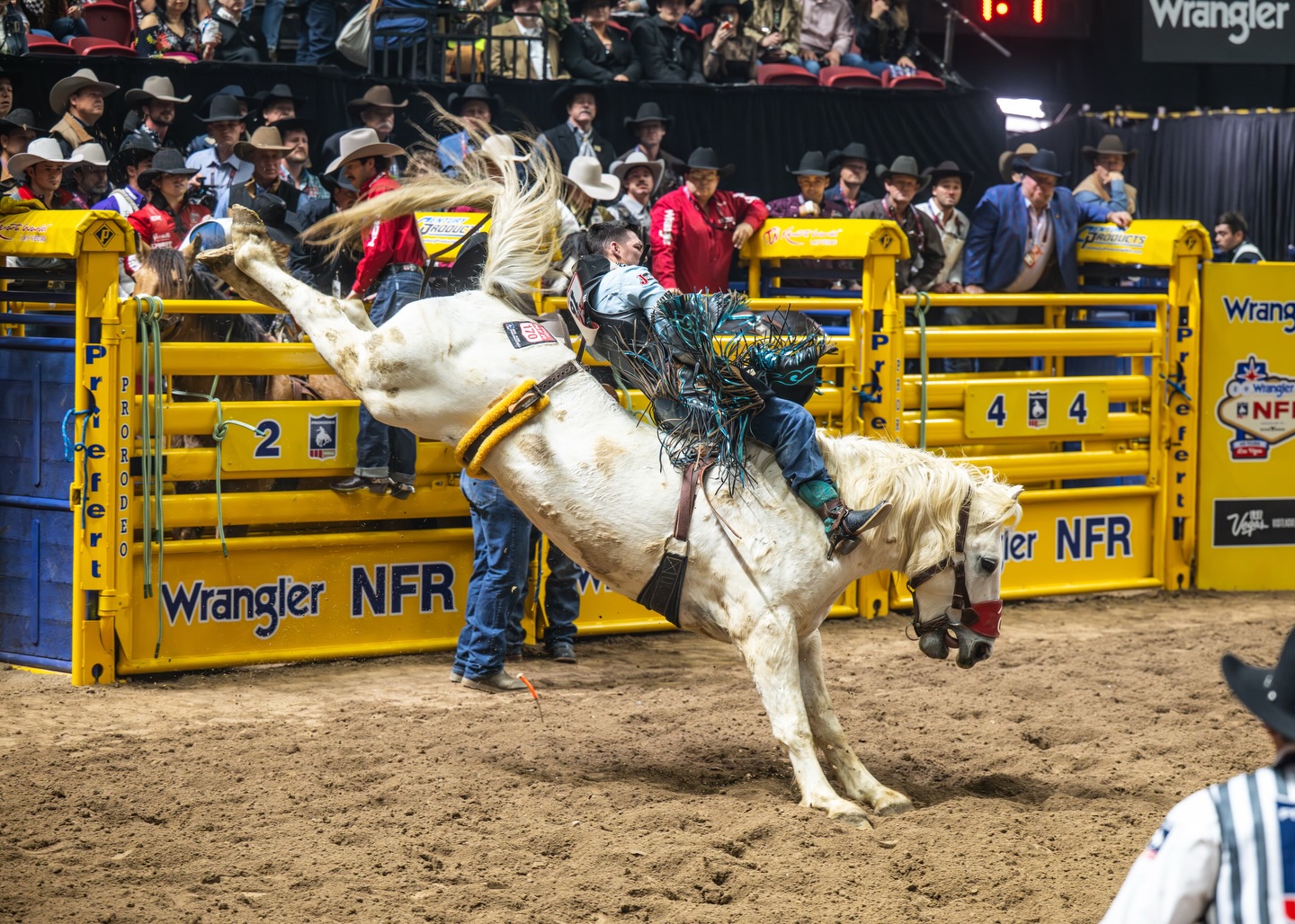 Stampede At The Ike | West Monroe LA