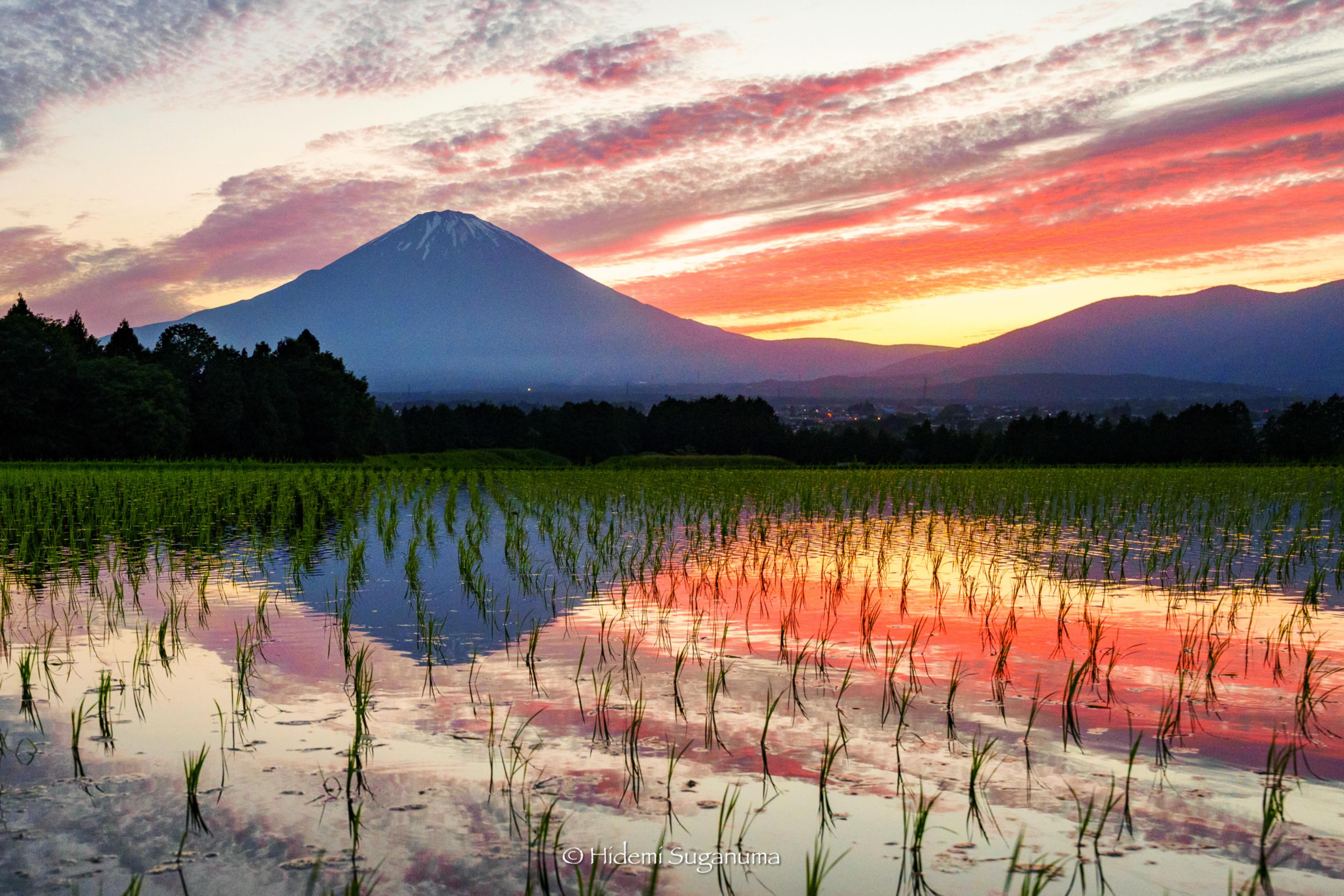 富士山麓季節風景｜FUJIYAMA DAYS. (@FUJIYAMA.DAYS) • Facebook