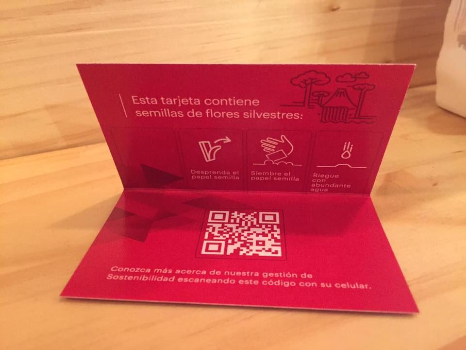 elaboramos-las-mejores-tarjetas-papel-con-semillas-cr