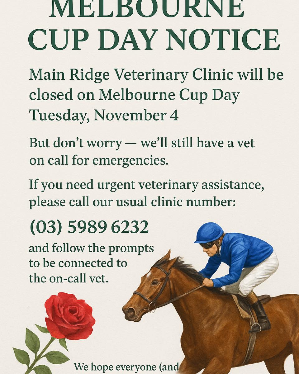 🐎🌹 Melbourne Cup Day Notice... - Main Ridge Veterinary Clinic | Facebook