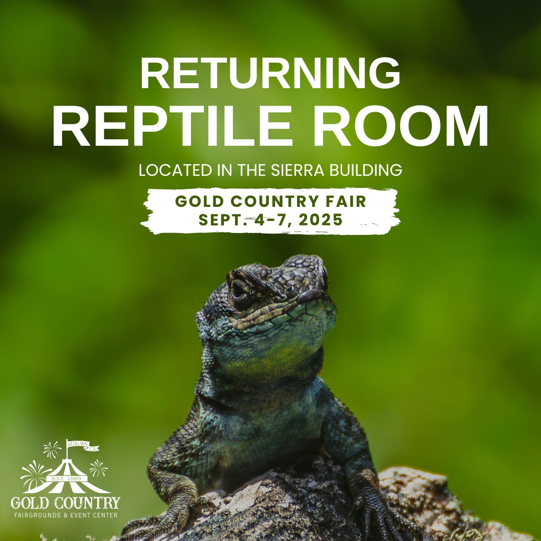 Gold - 🐍🦎 It’s BAAACK! The Reptile Room returns to the 2025 Gold ...