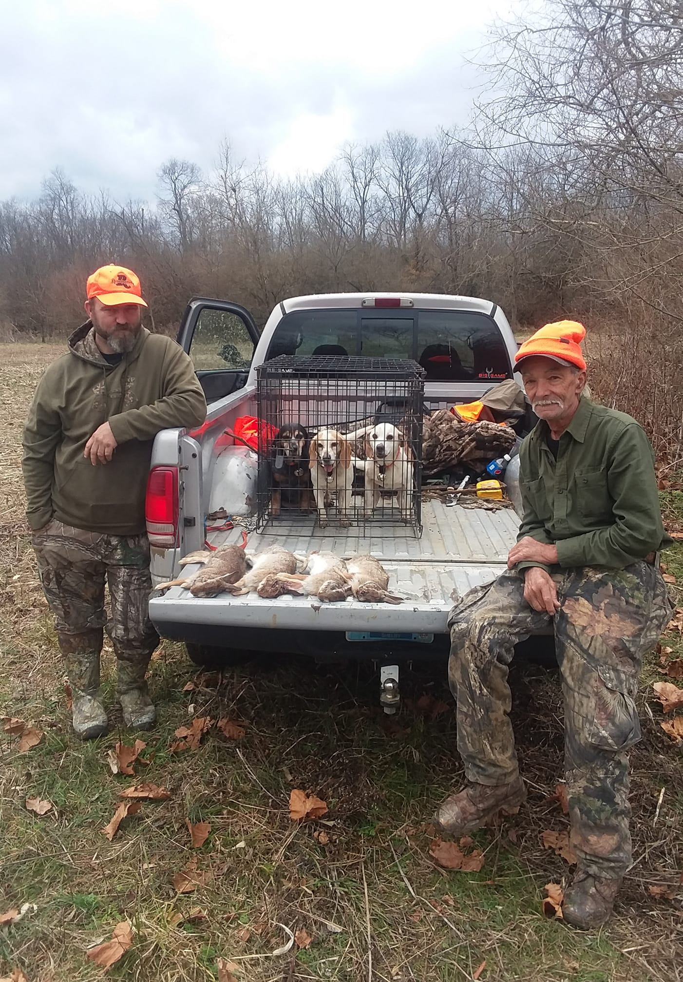 CENTRAL KENTUCKY BEAGLES | Really nice young dog she can run and jump ...