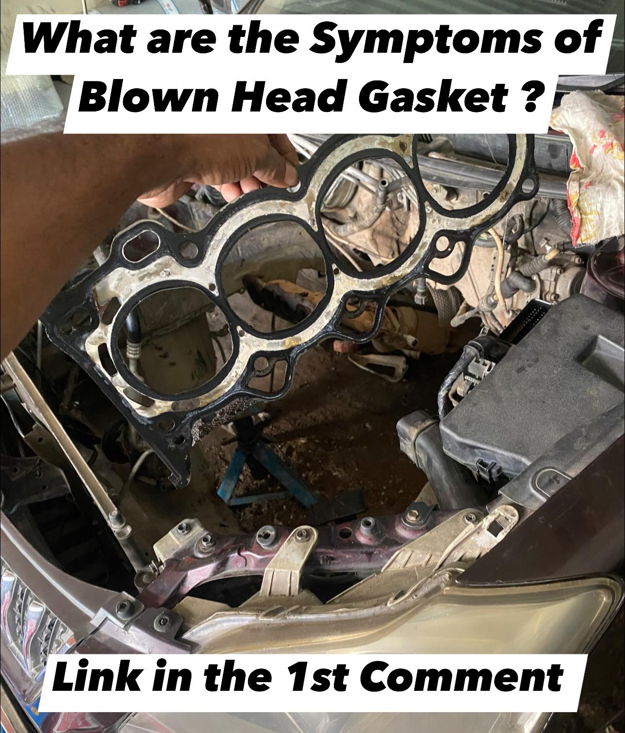 Sitemapcdatahttpsnewthereferenznetcan A Head Gasket Blown Without Overheatingnull