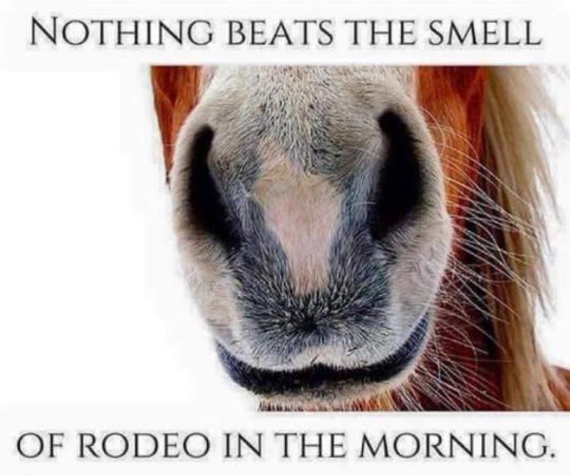 𝗧𝗛𝗘 𝗕𝗘𝗦𝗧 𝗗𝗔𝗬 𝗢𝗙 𝗧𝗛𝗘 𝗬𝗘𝗔𝗥 - 𝗥𝗢𝗗𝗘𝗢 𝗗𝗔𝗬!... - Outram Rodeo Club | Facebook