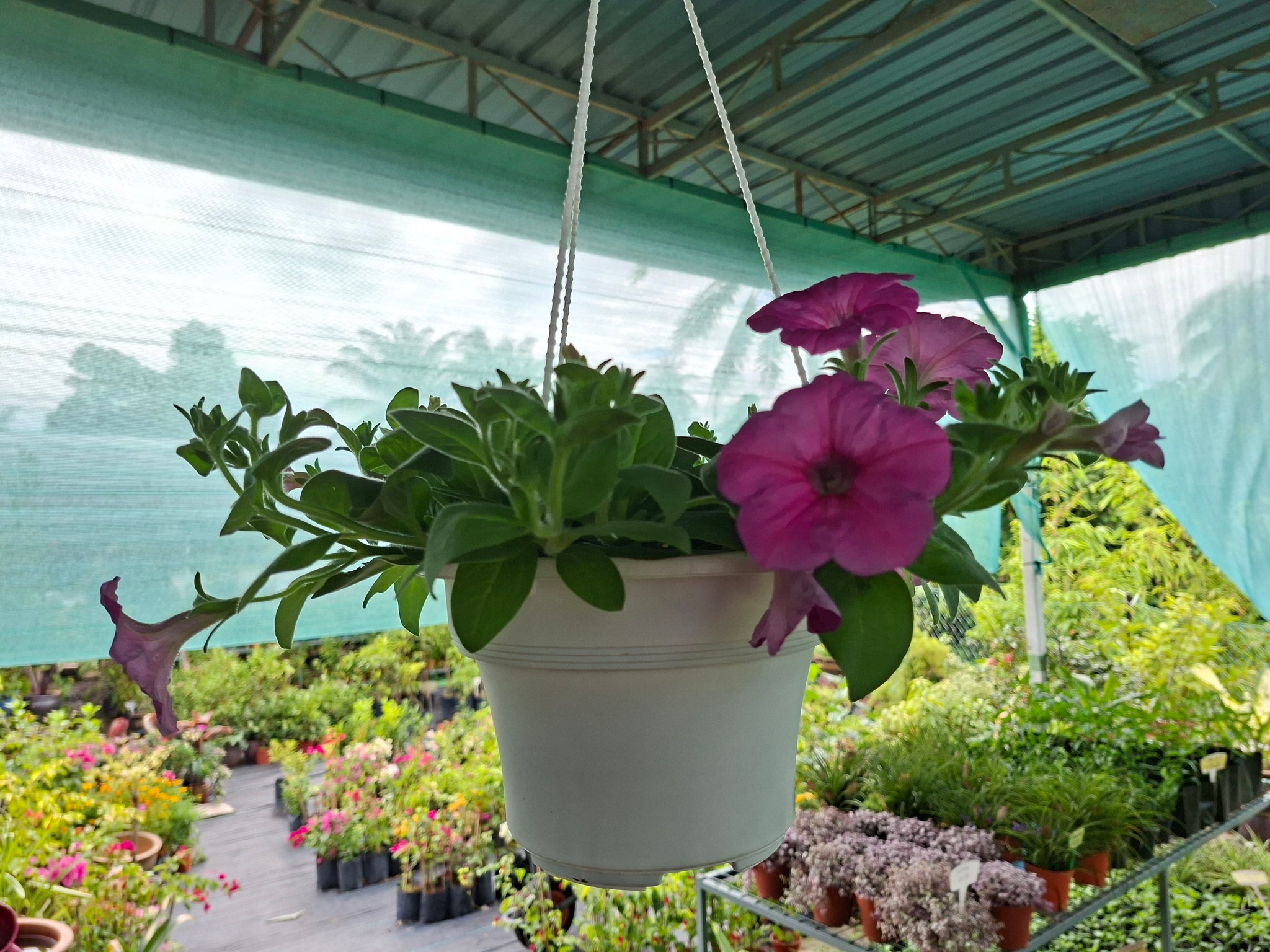 Mat Bunga Nursery