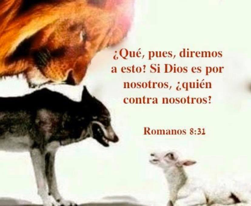 Biblicos No Te Metas Conmigo Por Que Dios Esta Conmigo Y Facebook