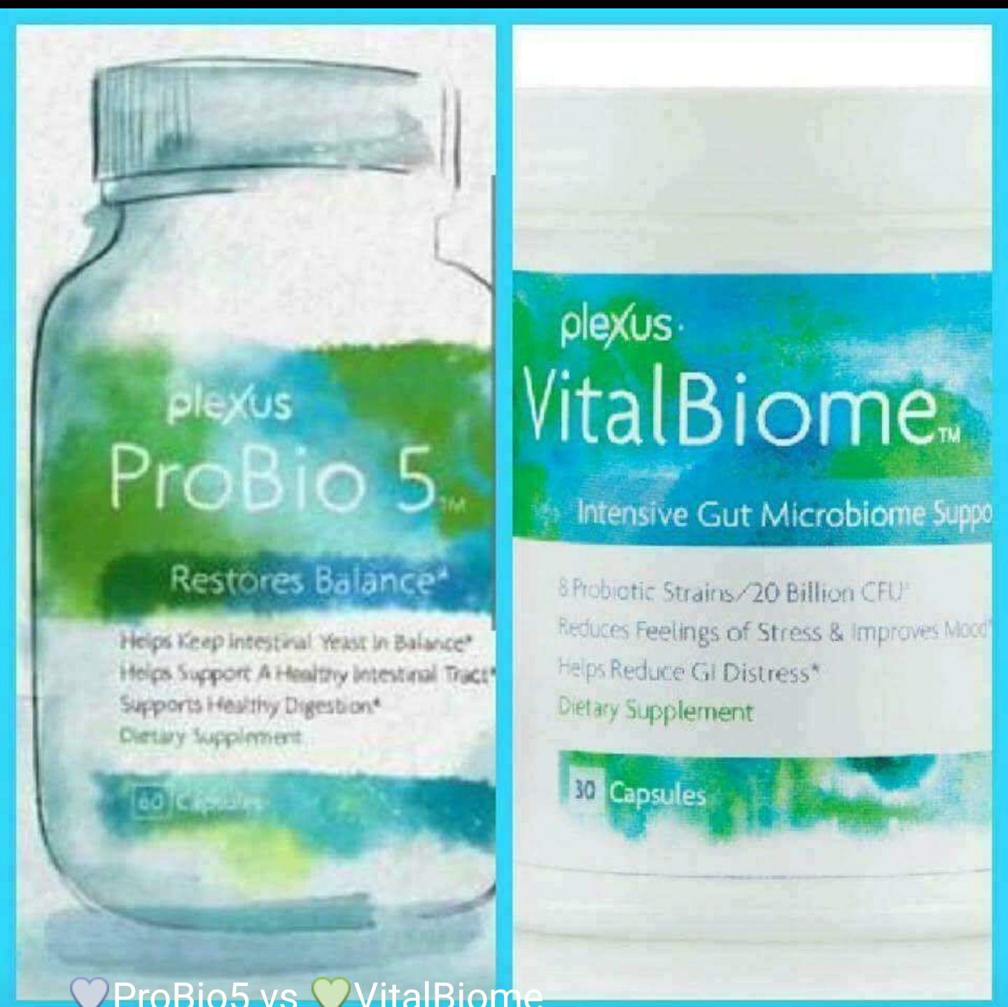 💙ProBio5 vs 💚VitalBiome What's the... - Plexus The Hanes Way | Facebook