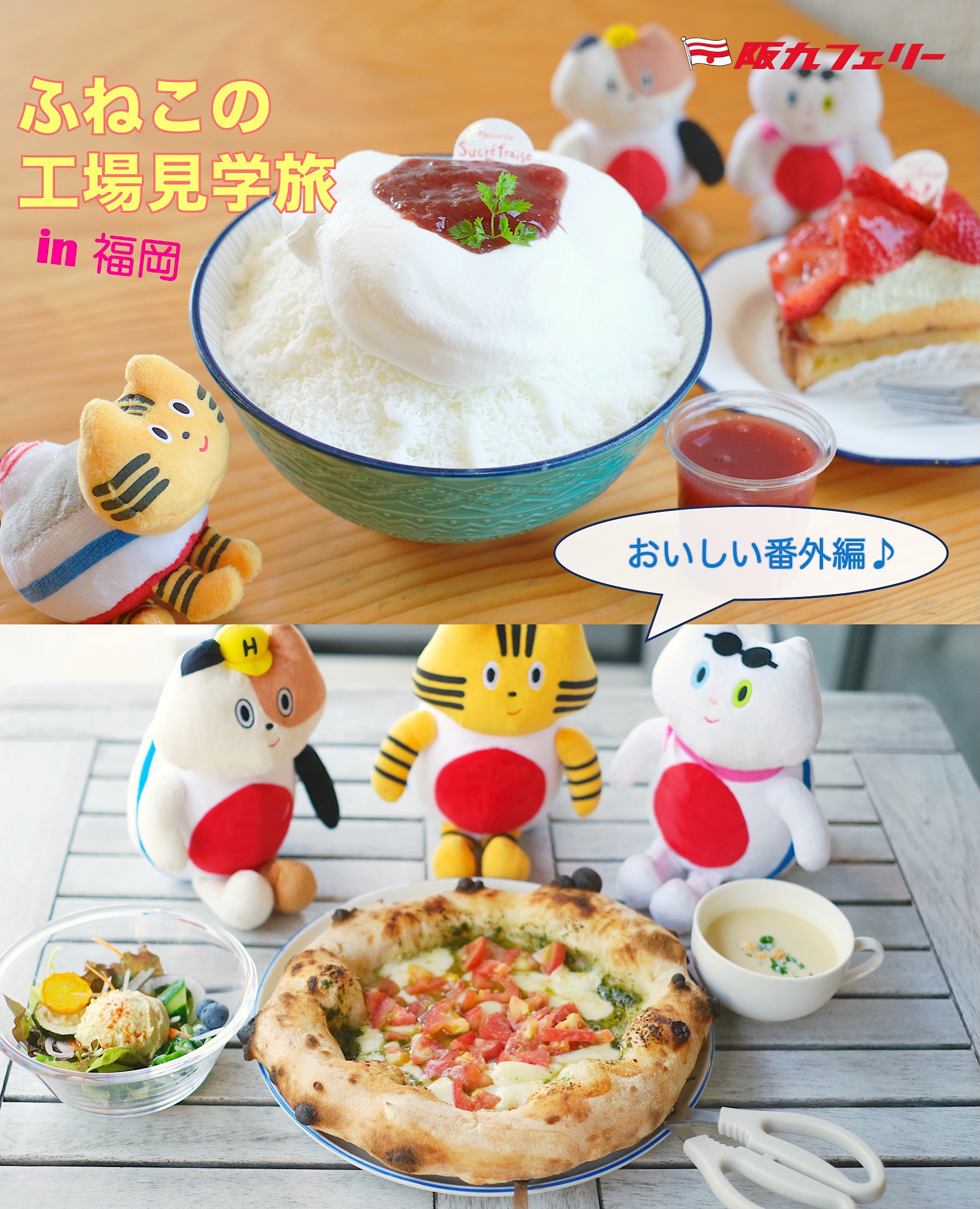 こんにちは！阪九フェリーいずみです🚢✨ 今回はふねこグッズの紹介