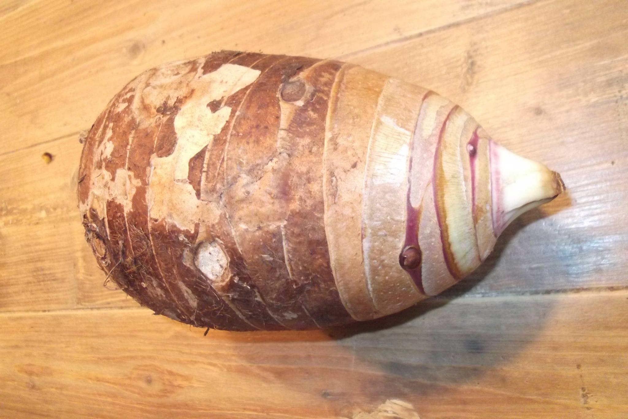 I ordered taro root recently. Instead of the tiny taro (arbi/chama 