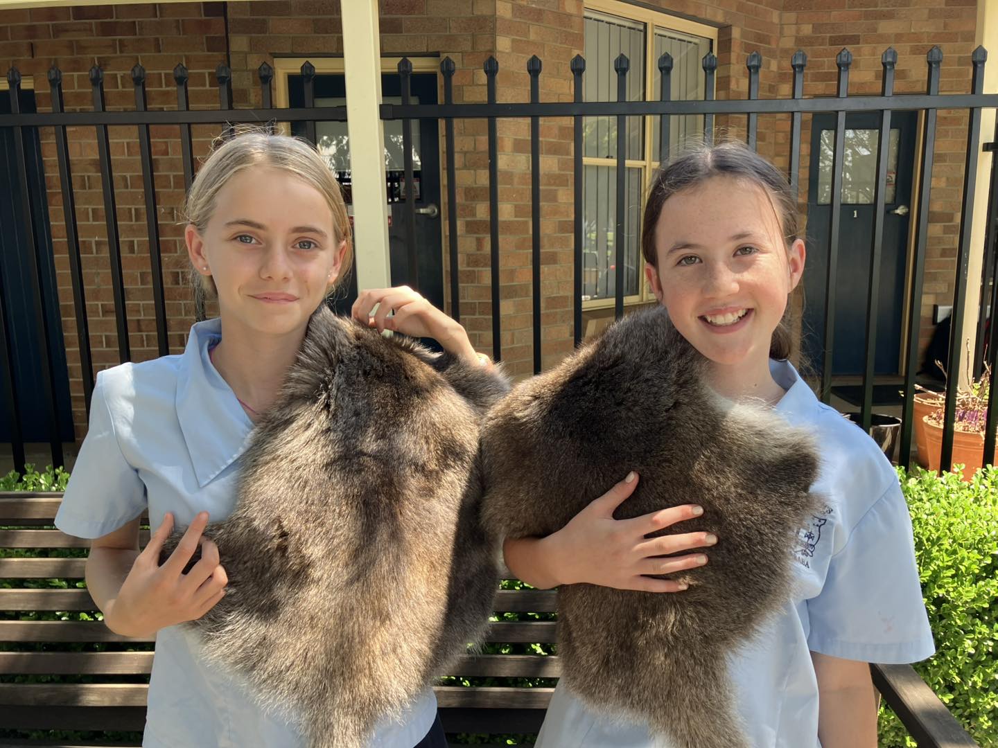 St Joseph's Catholic... - St Joseph's Catholic School Barraba