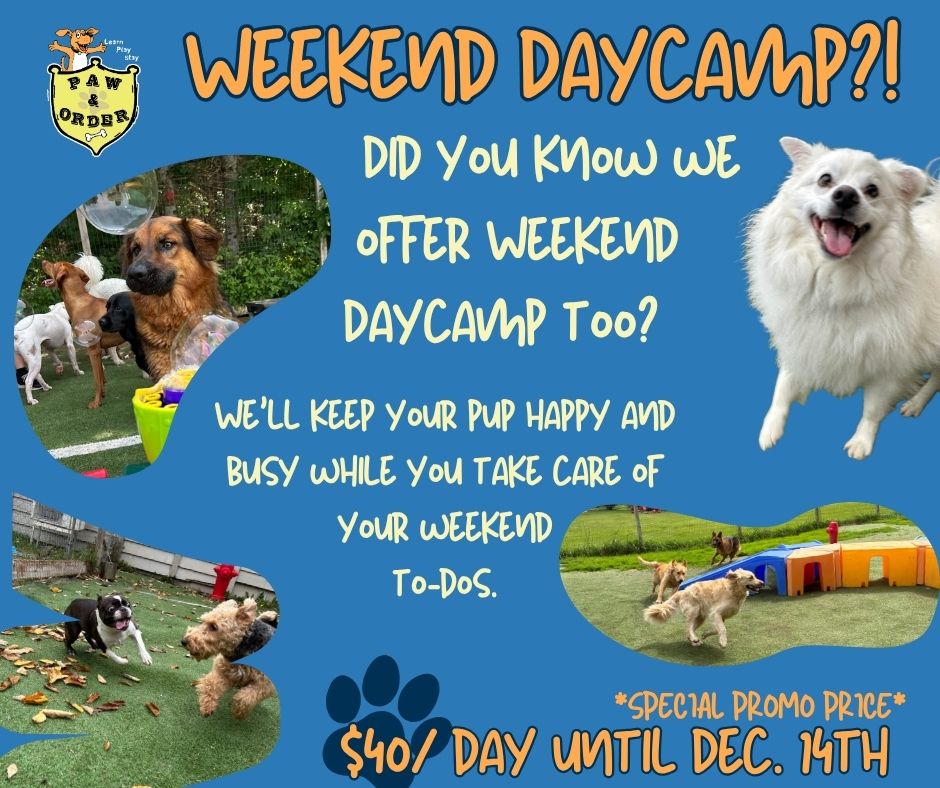Paw & Order - 🐾 Weekend Plans? We’ve Got Your Pup Covered!... | Facebook