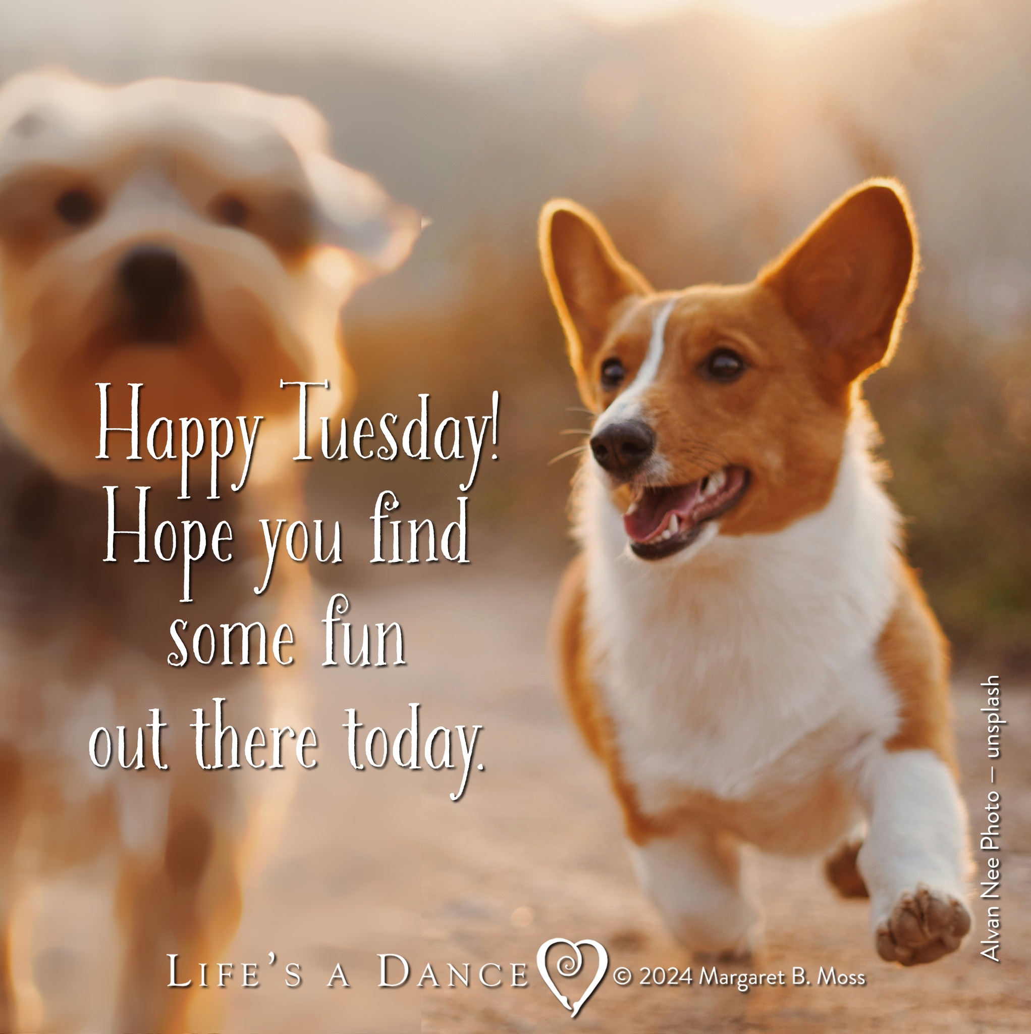 Life's - Have a #BeautifulTuesday ♥️ Margaret Life's a Dance # ...