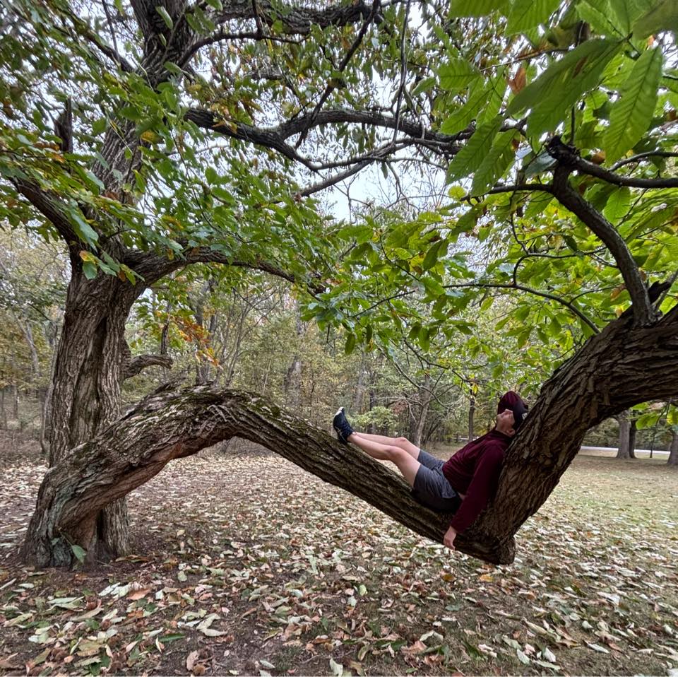 Audiobook vs Physical book. Where do you get most of your reading done ...