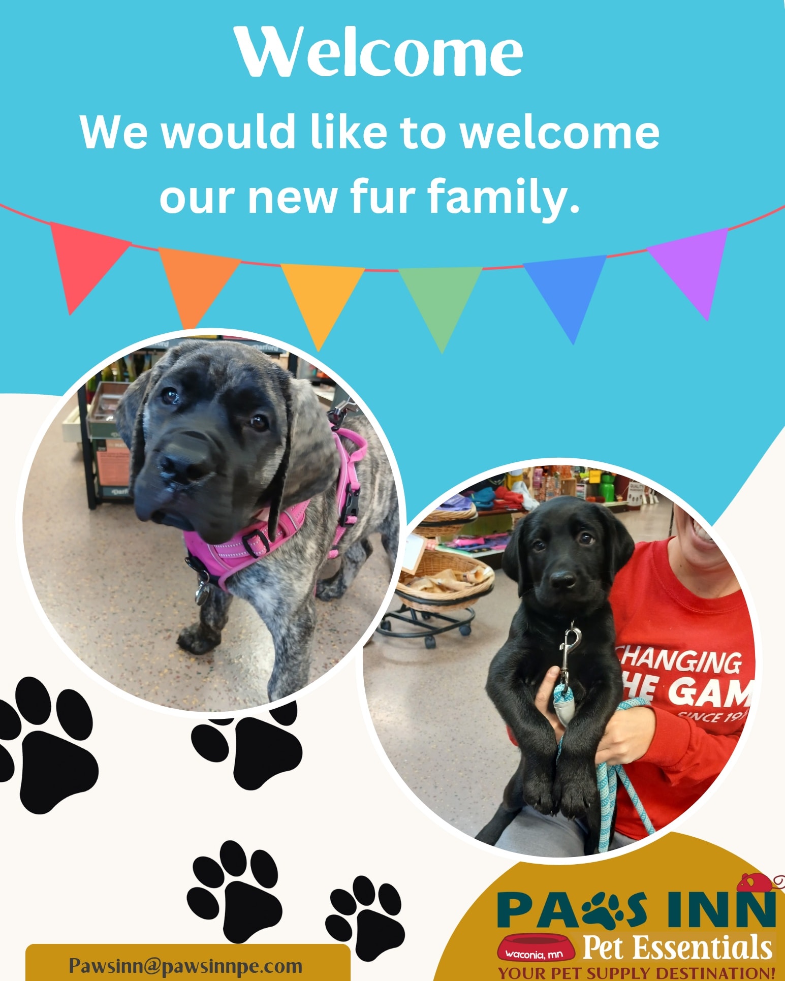 🐾 Welcome to the Paws Inn... - Paws Inn Pet Essentials | Facebook