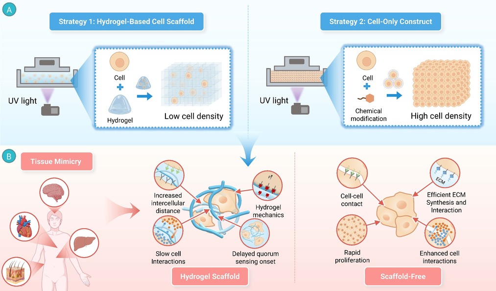 New in The... - The Innovation: a Cell Press partner journal | Facebook