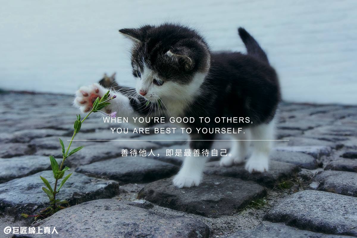 巨匠外語 - #週日正能量💪 When you’re good to others, you are best to... | Facebook