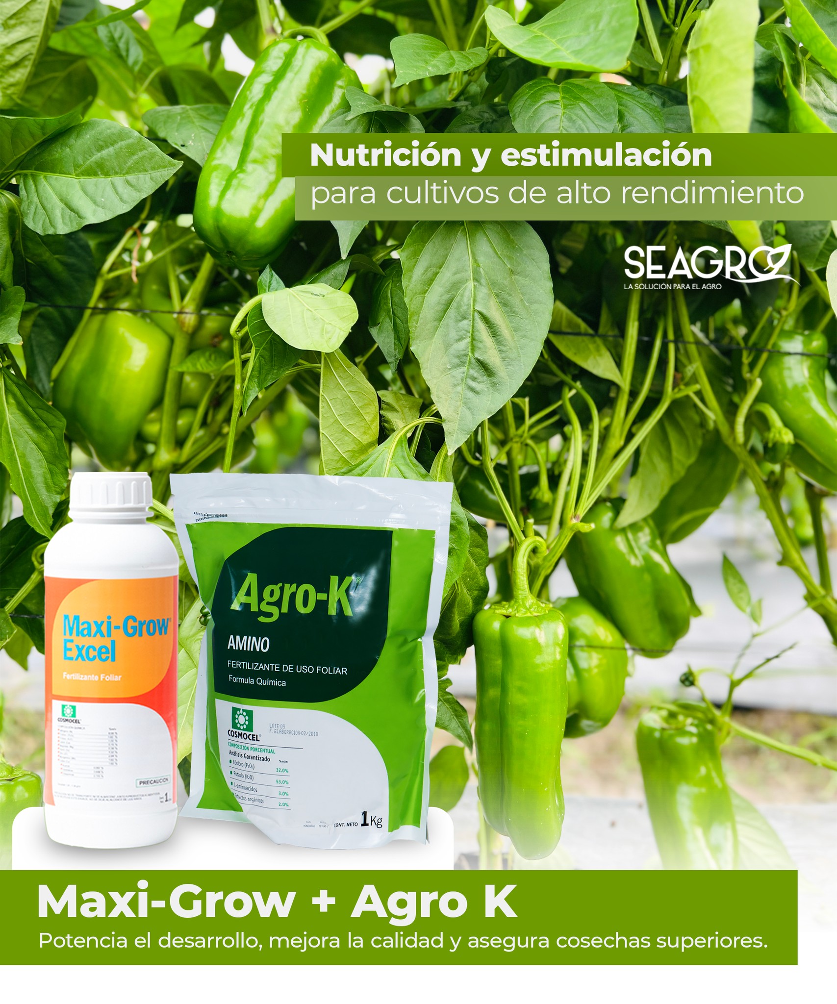 SEAGRO - SEAGRO added a new photo.