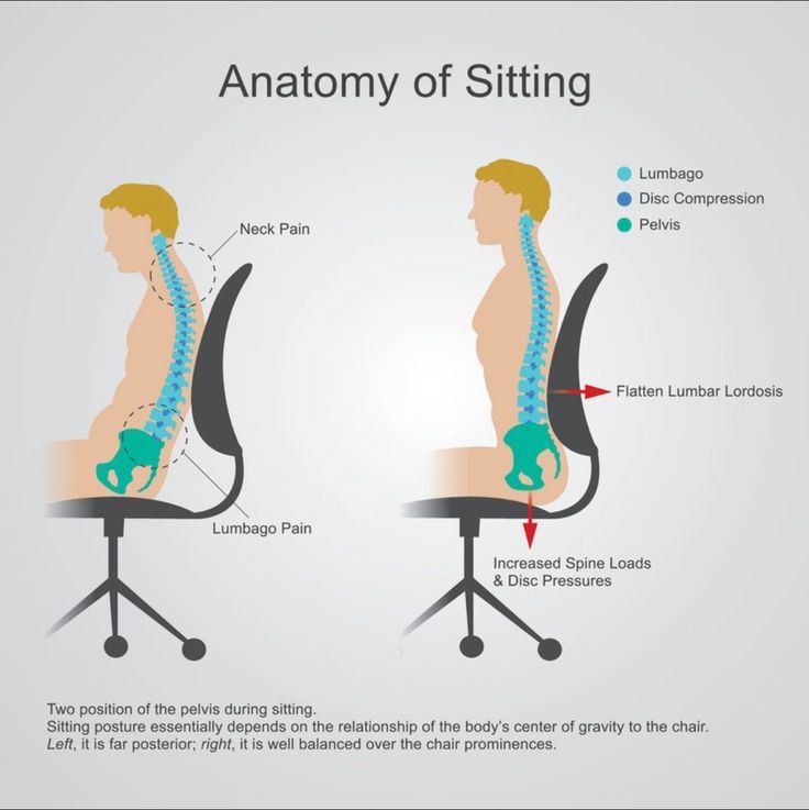 ALaura - Anatomy of Sitting🪑 This diagram shows *two postures* Step-by ...