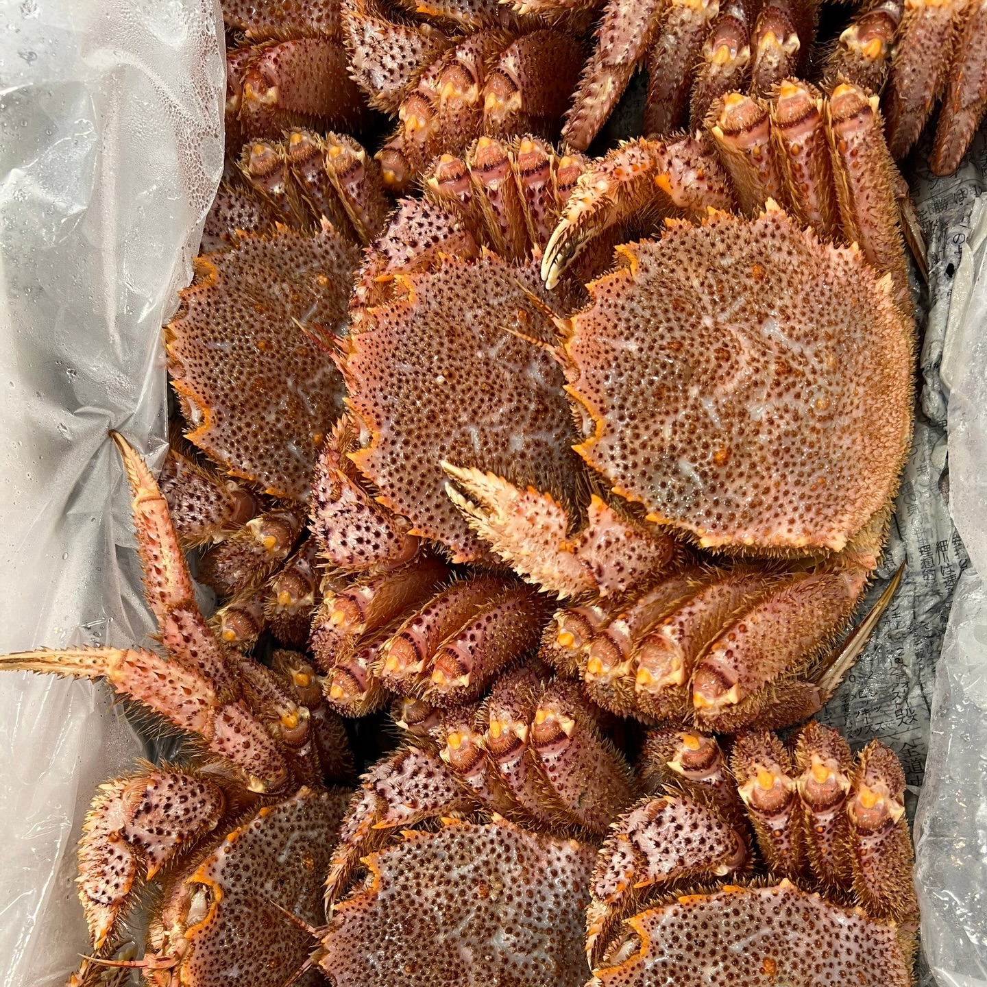 本明一山高級魚介專賣店 - 本明一山高級魚介專賣店 added a new photo — at 本明一山高級魚介專賣店.