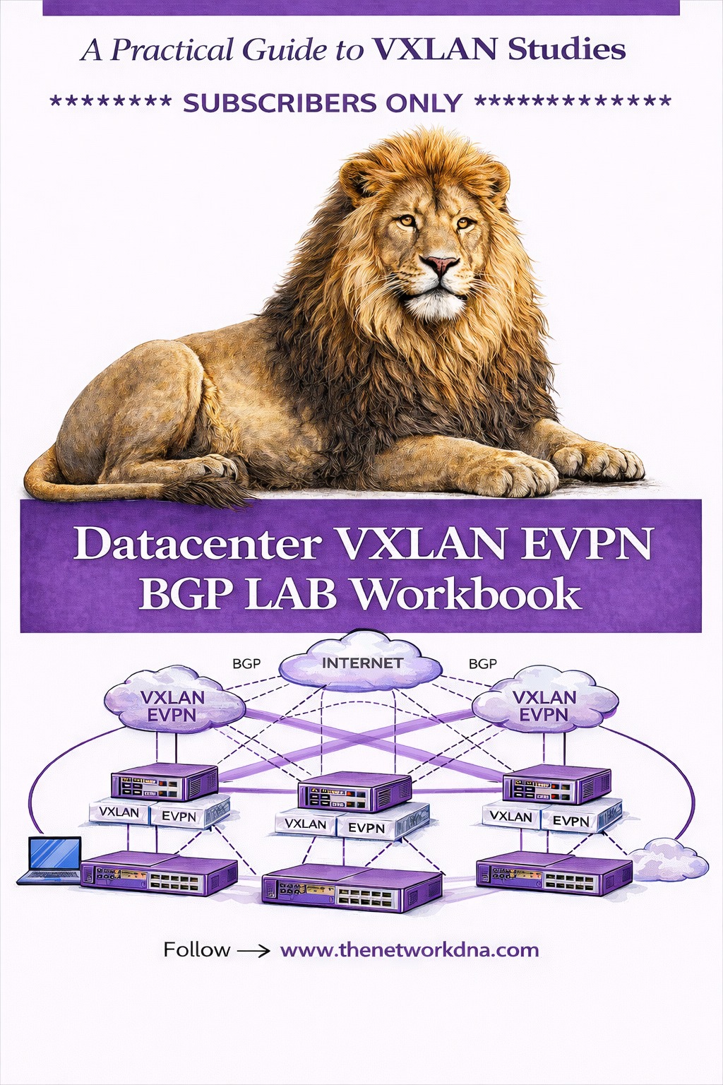Router - Day 33-VXLAN EVPN BGP LAB available for Network Engineers ...