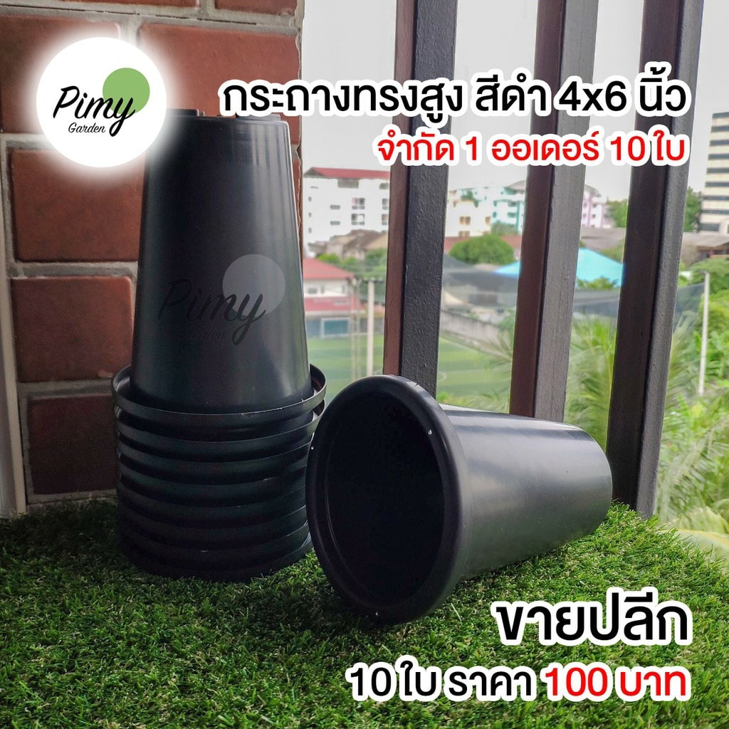 🌵 Pimy Garden -... - Pimy Garden - กระถางต้นไม้พลาสติก | Facebook
