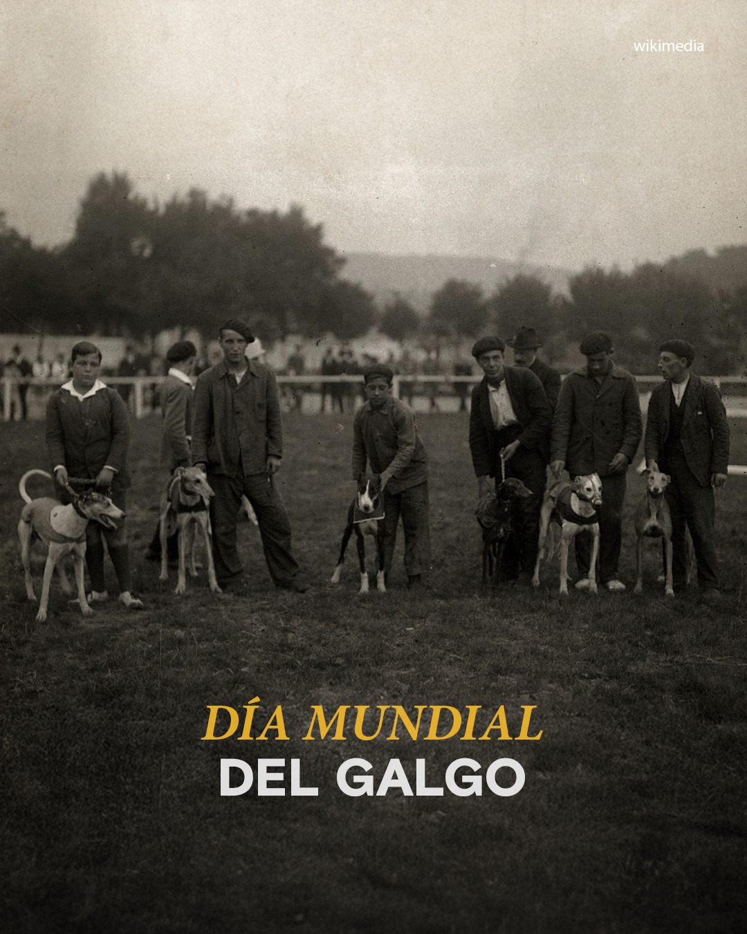 history-hoyenlahistoria-hoy-el-mundo-celebra-el-d-a-mundial-del