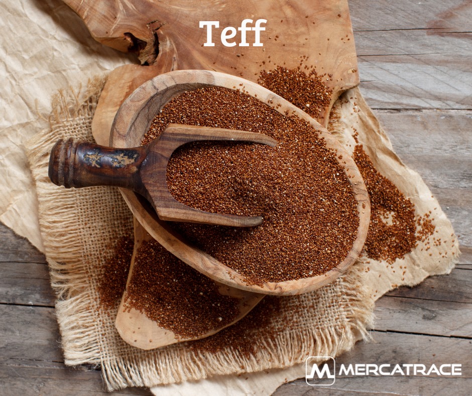 Mercatrace - 🌀🌀 ALIMENTOS DEL FUTURO 🌀🌀 El TEFF es un tipo de cereal ...