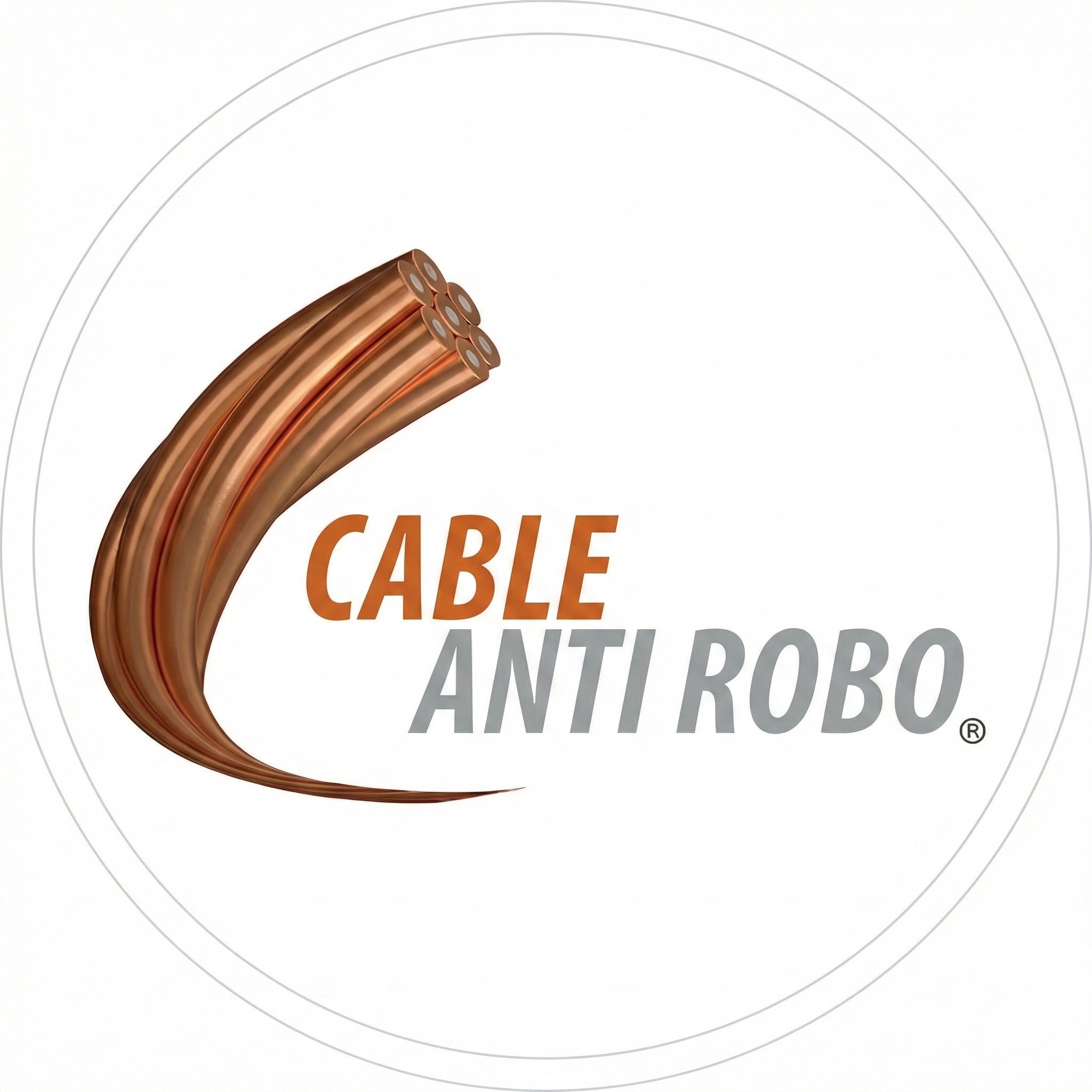Cable Anti Robo