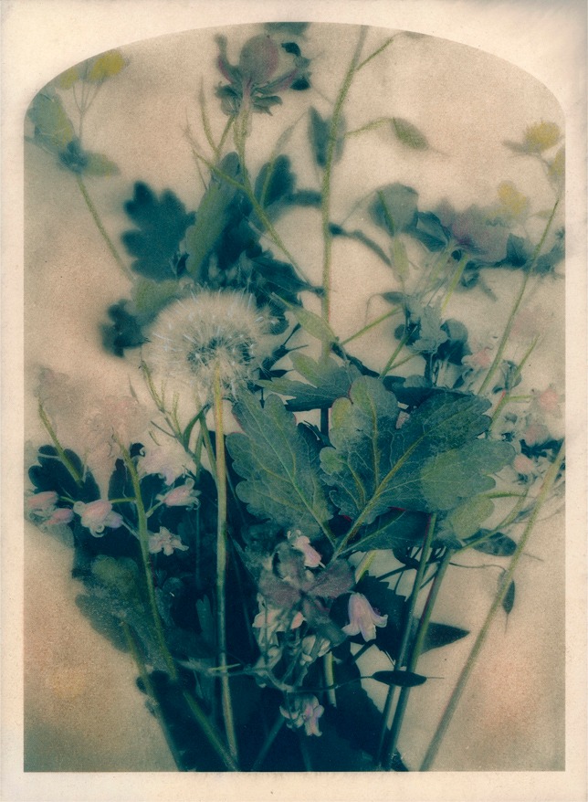 Words and Images, Cyanotype and Writing Workshop