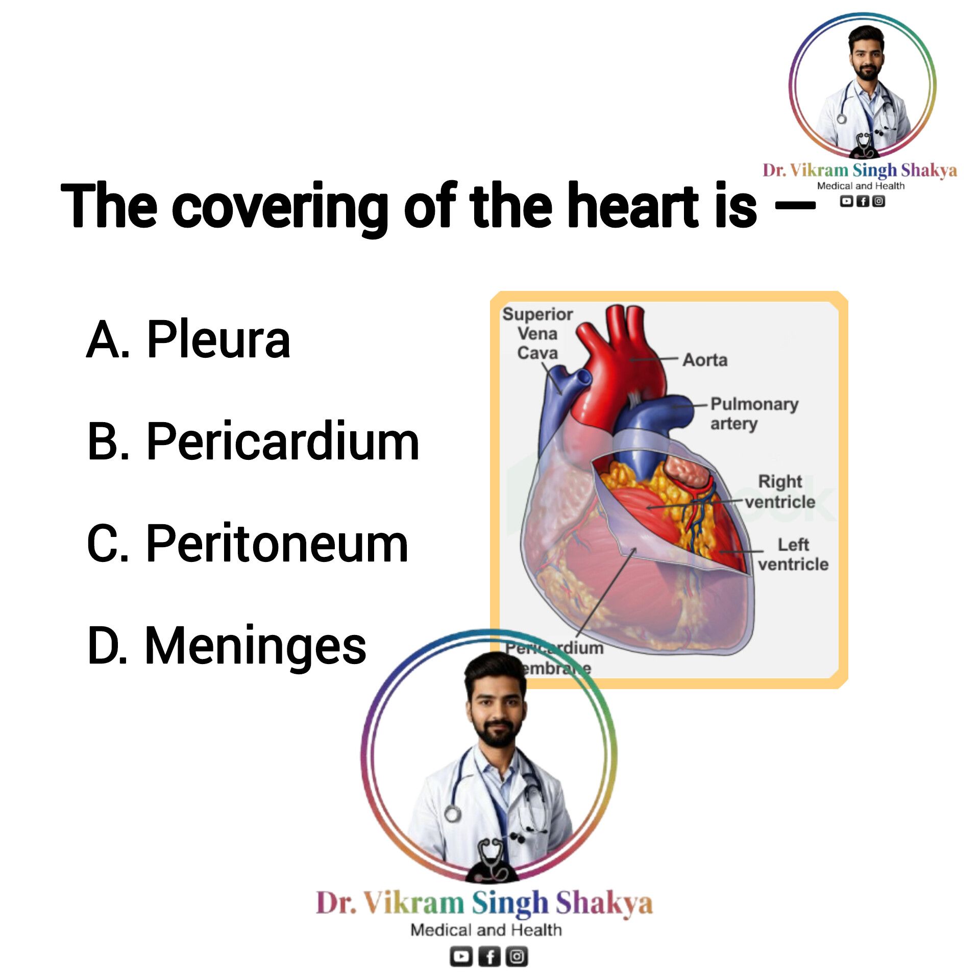Human Anatomy Group | Heart Anatomy MCQ ️ | Facebook