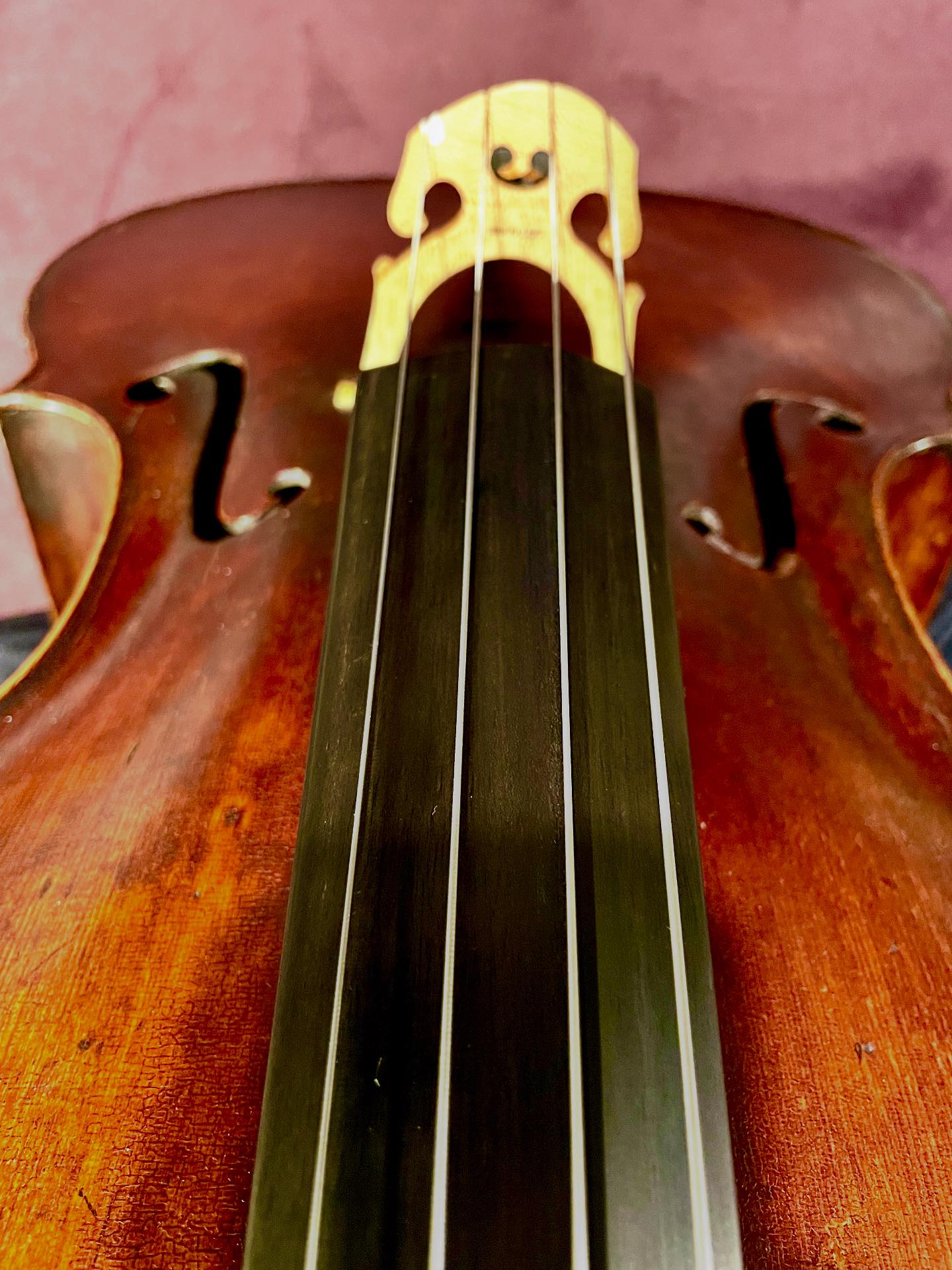 Baroque - All About My Bow offers two classes this autumn. October 4th ...