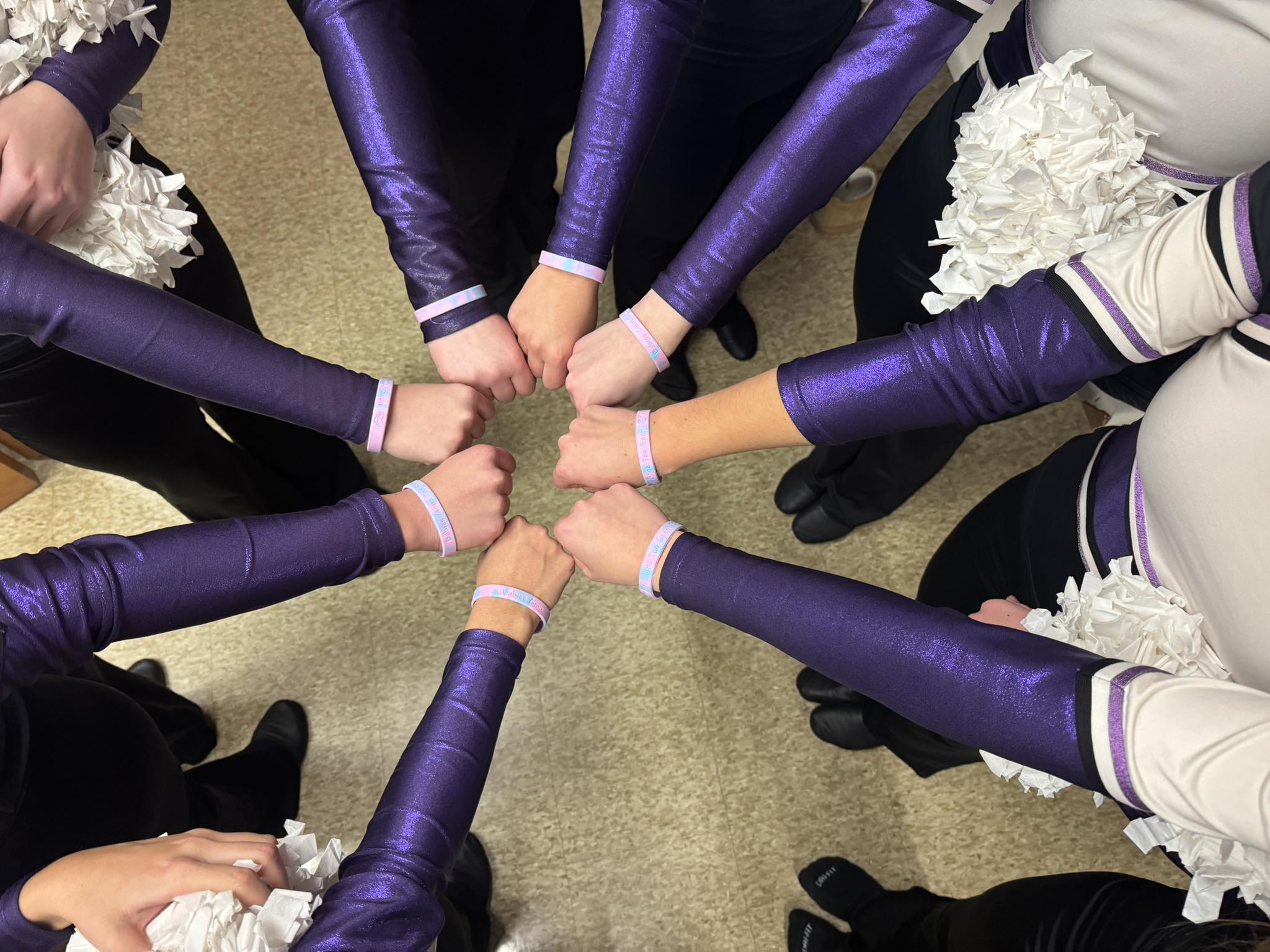 River Ridge Timberwolves Dance Team